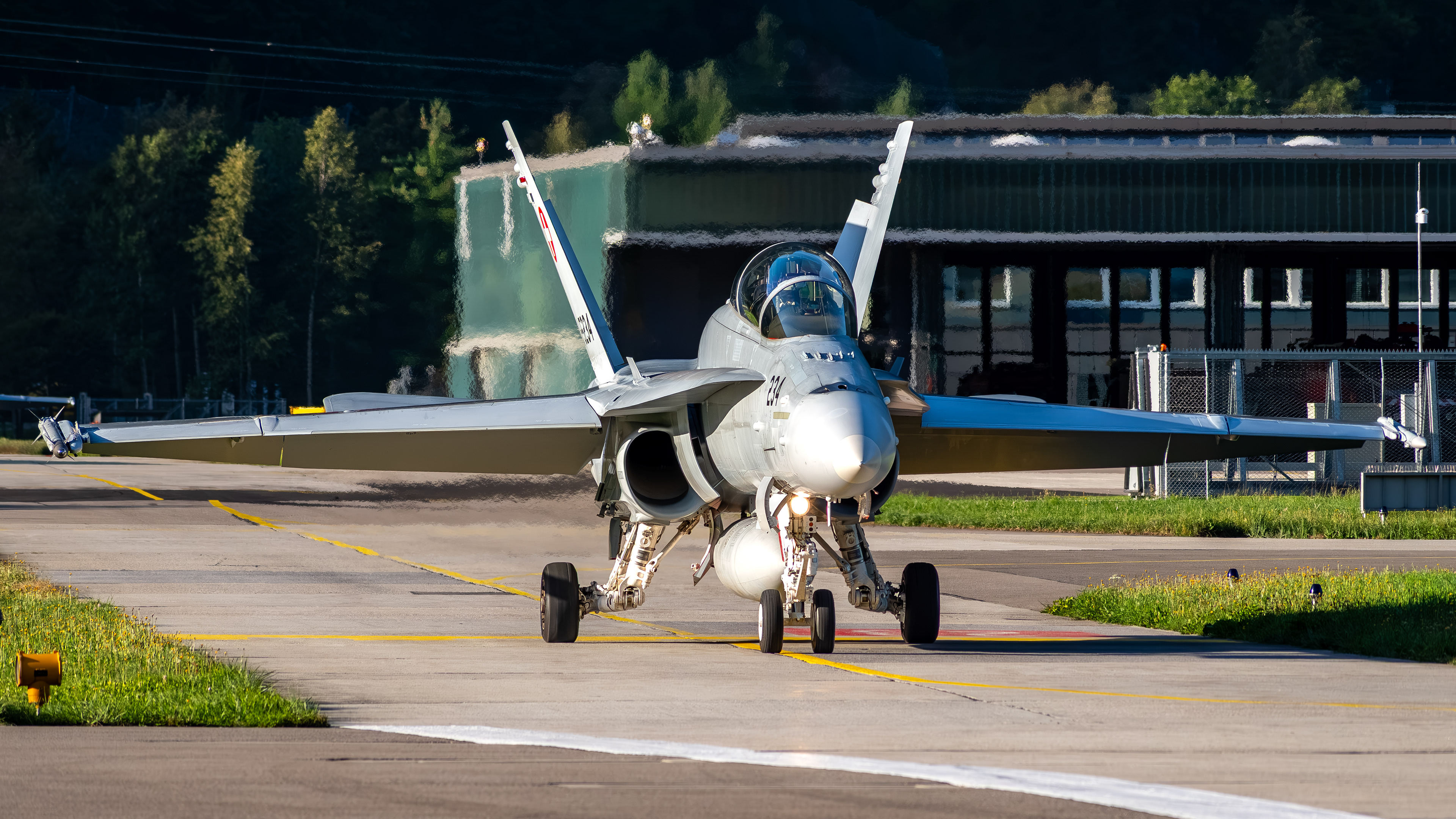 Swiss Air Force - F/A-18D Hornet - J-5234 (VIPER11)
