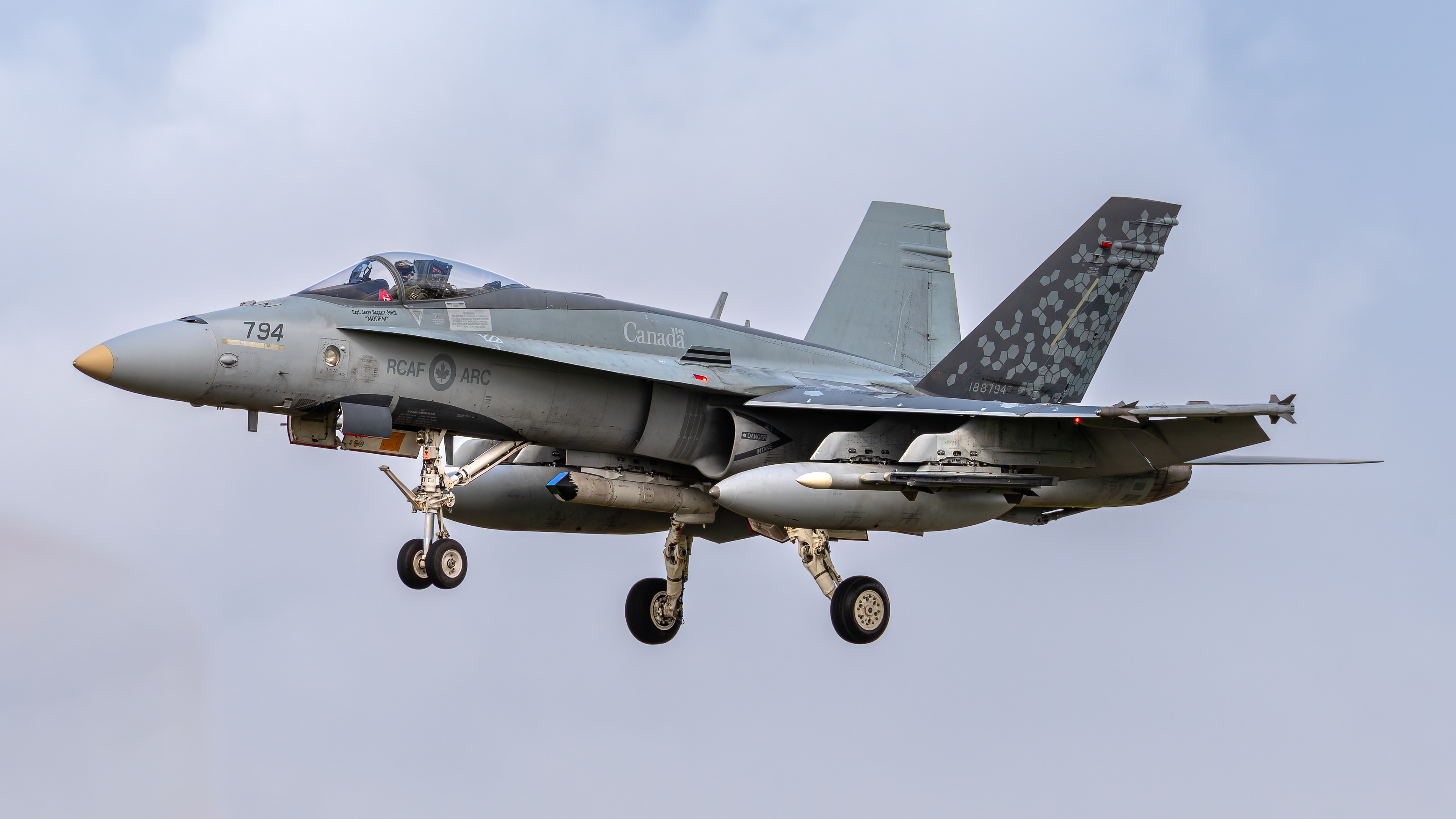 Royal Canadian Air Force - CF-18 Hornet - 188794 (BRANDY64)