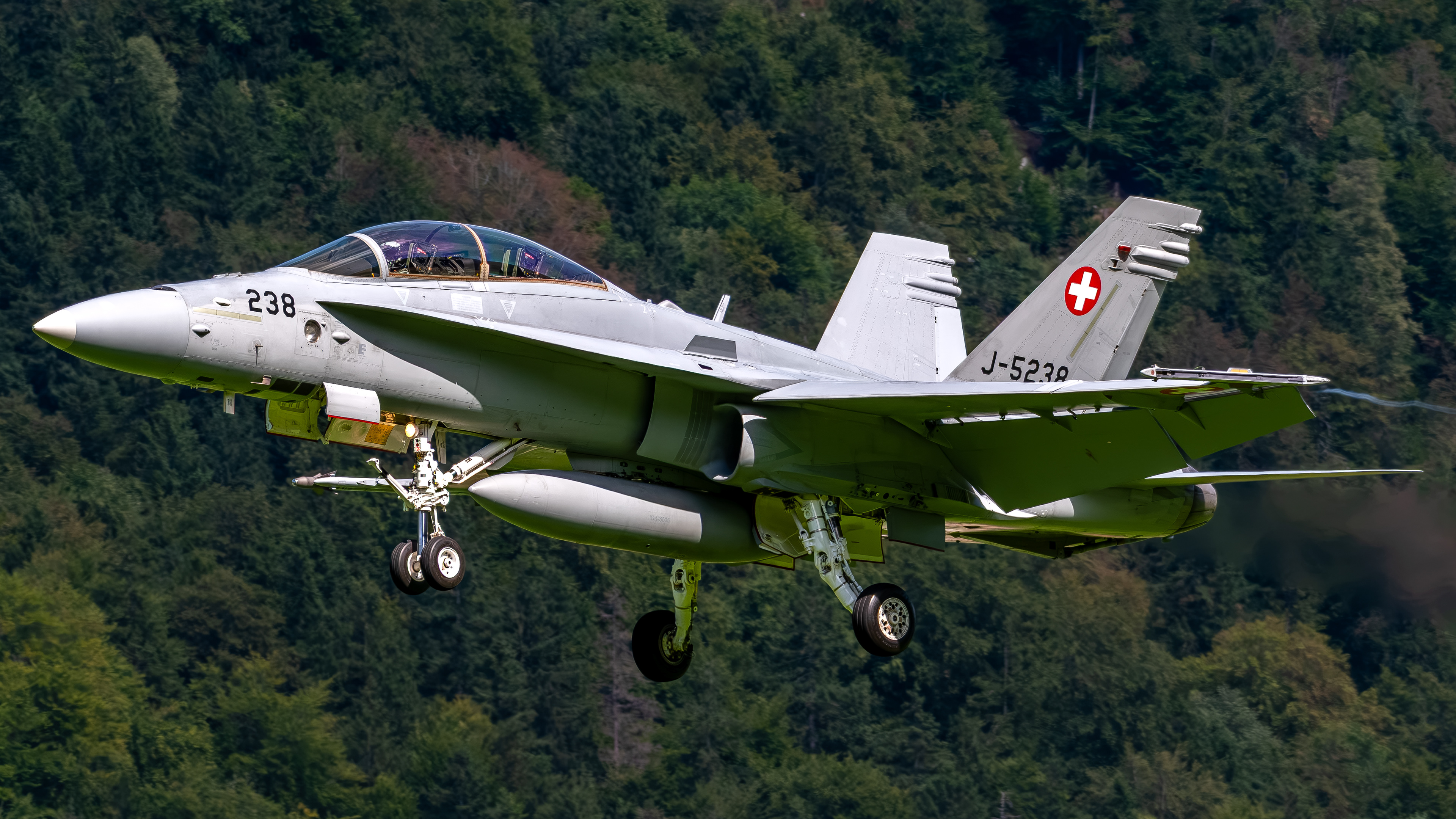 Swiss Air Force - F/A-18D Hornet - J-5238 (COPPER42)