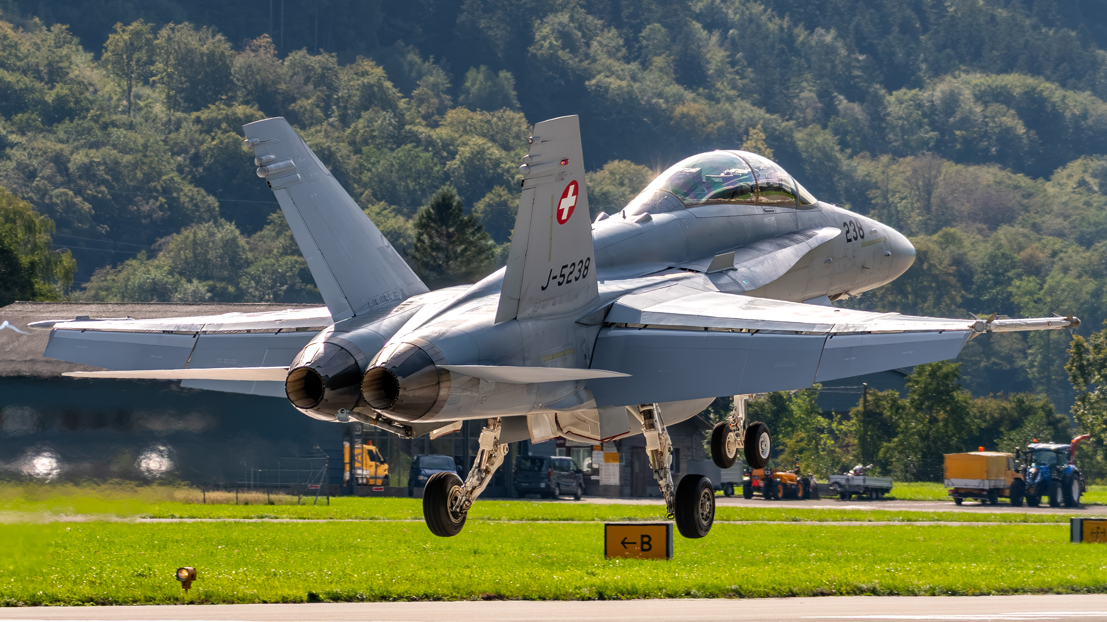 Swiss Air Force - F/A-18D Hornet - J-5238 (VIPER44)
