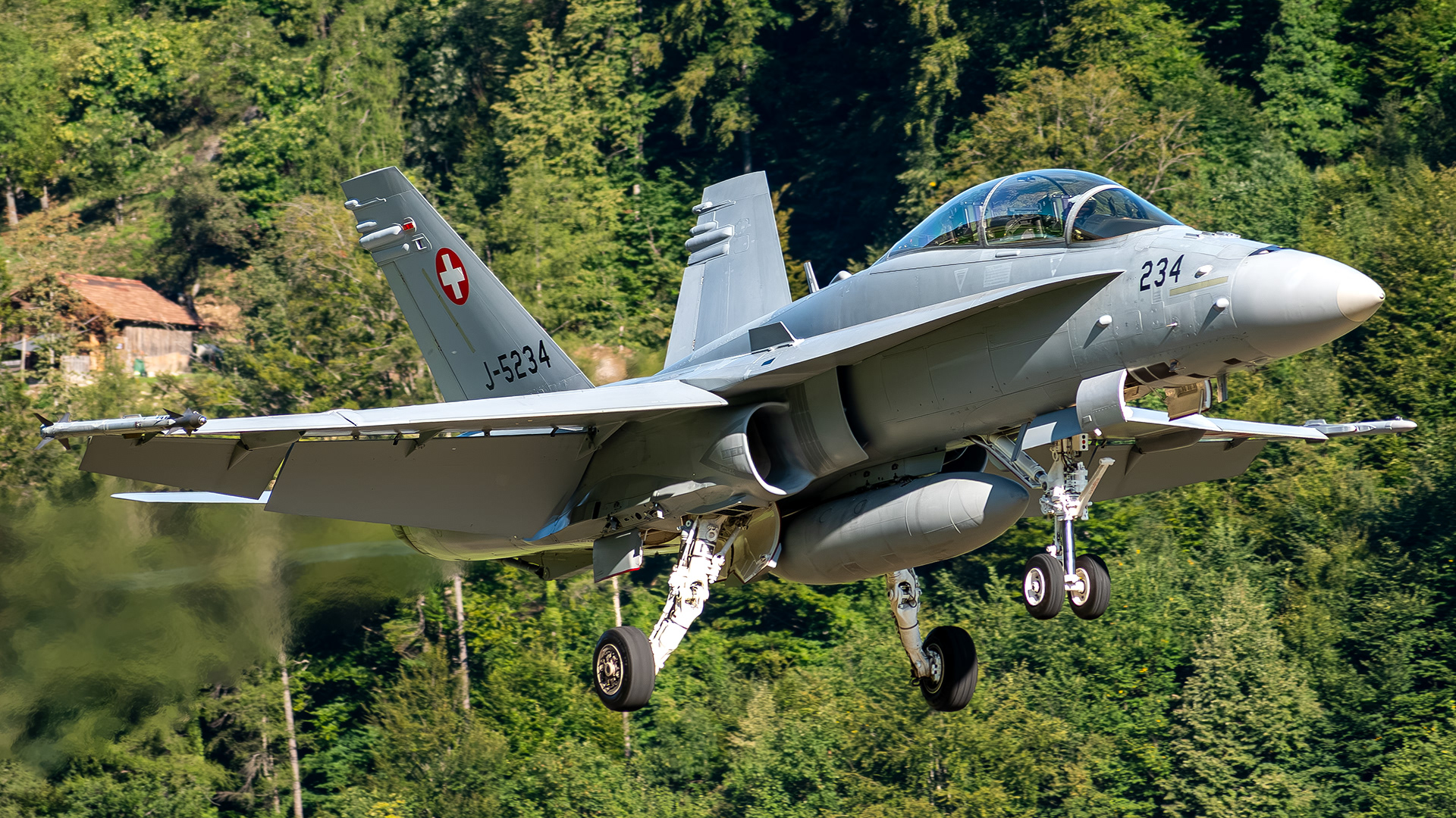 Swiss Air Force - F/A-18D Hornet - J-5234