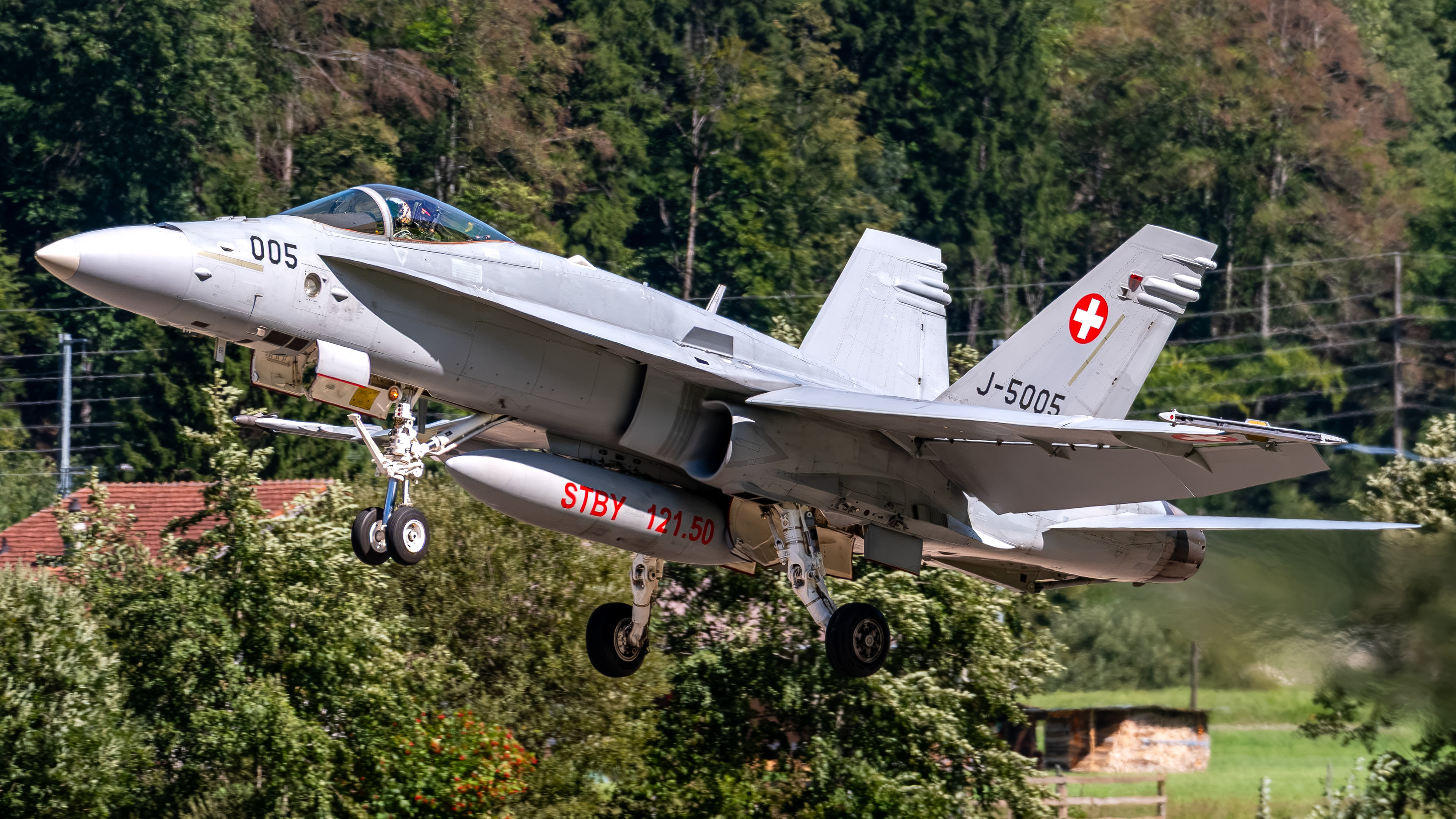 Swiss Air Force - F/A-18C Hornet - J-5005 (RAGE31)