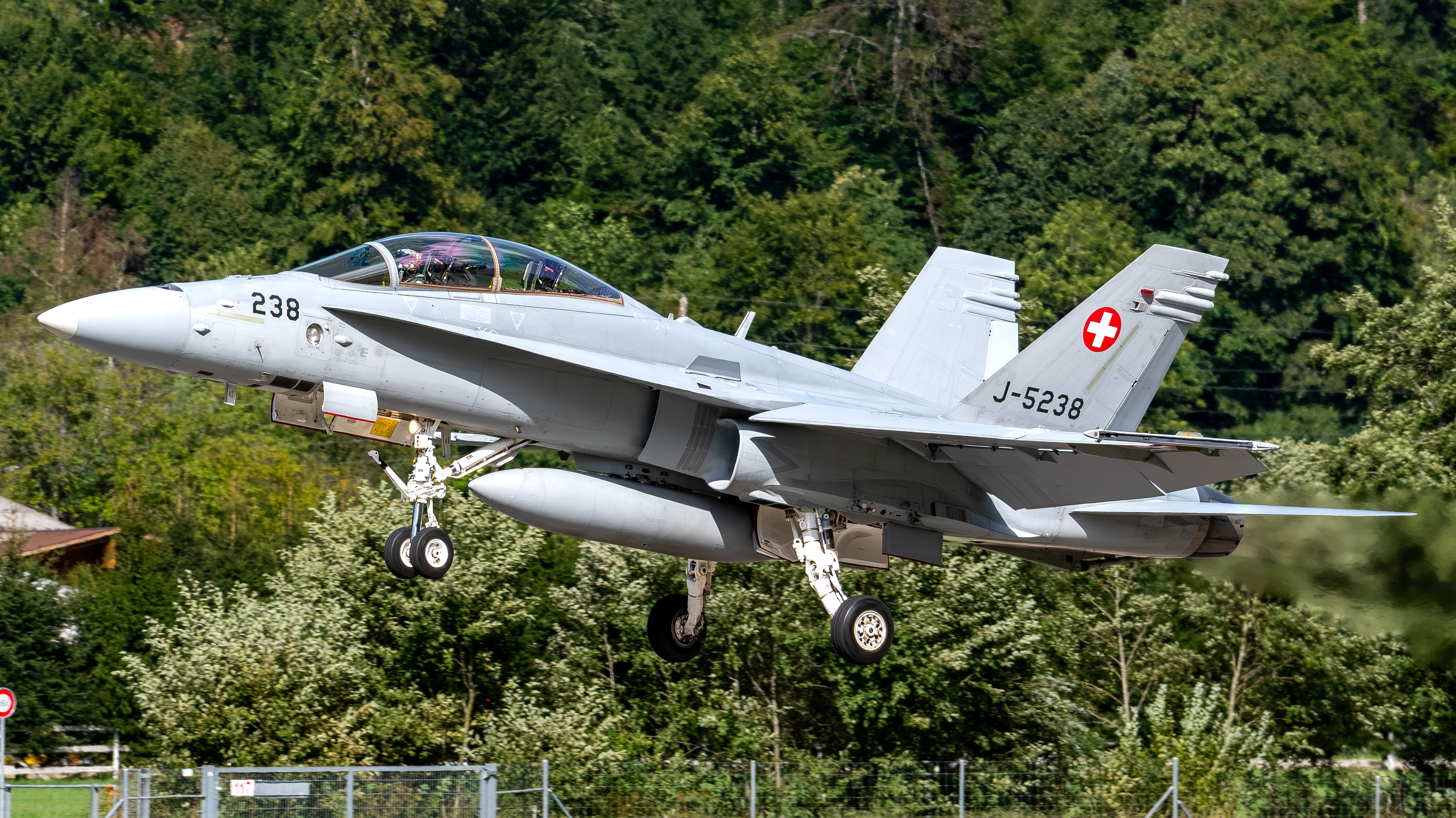 Swiss Air Force - F/A-18D Hornet - J-5238 (VIPER44)