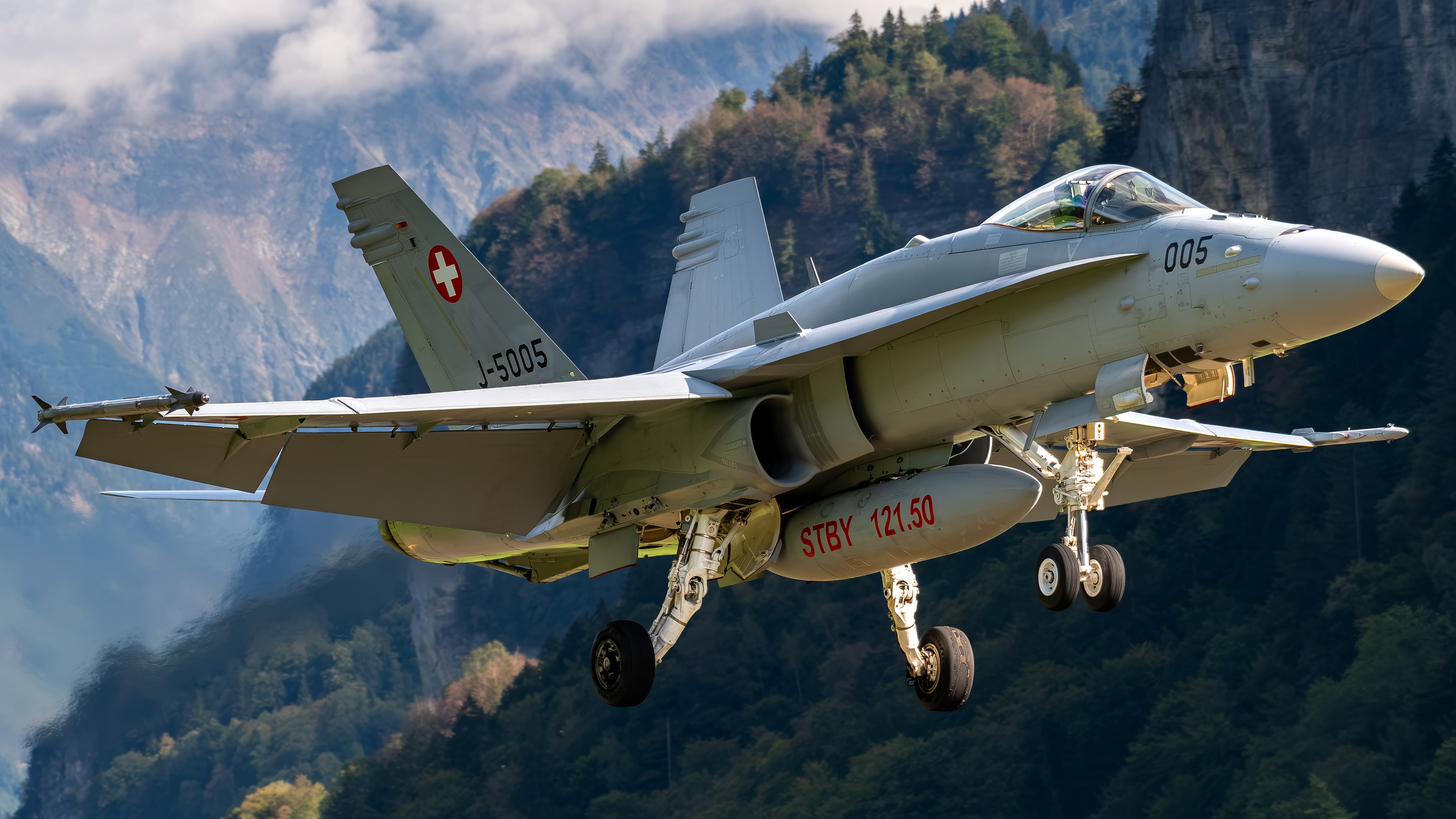 Swiss Air Force - F/A-18C Hornet - J-5005 (VIPER41)