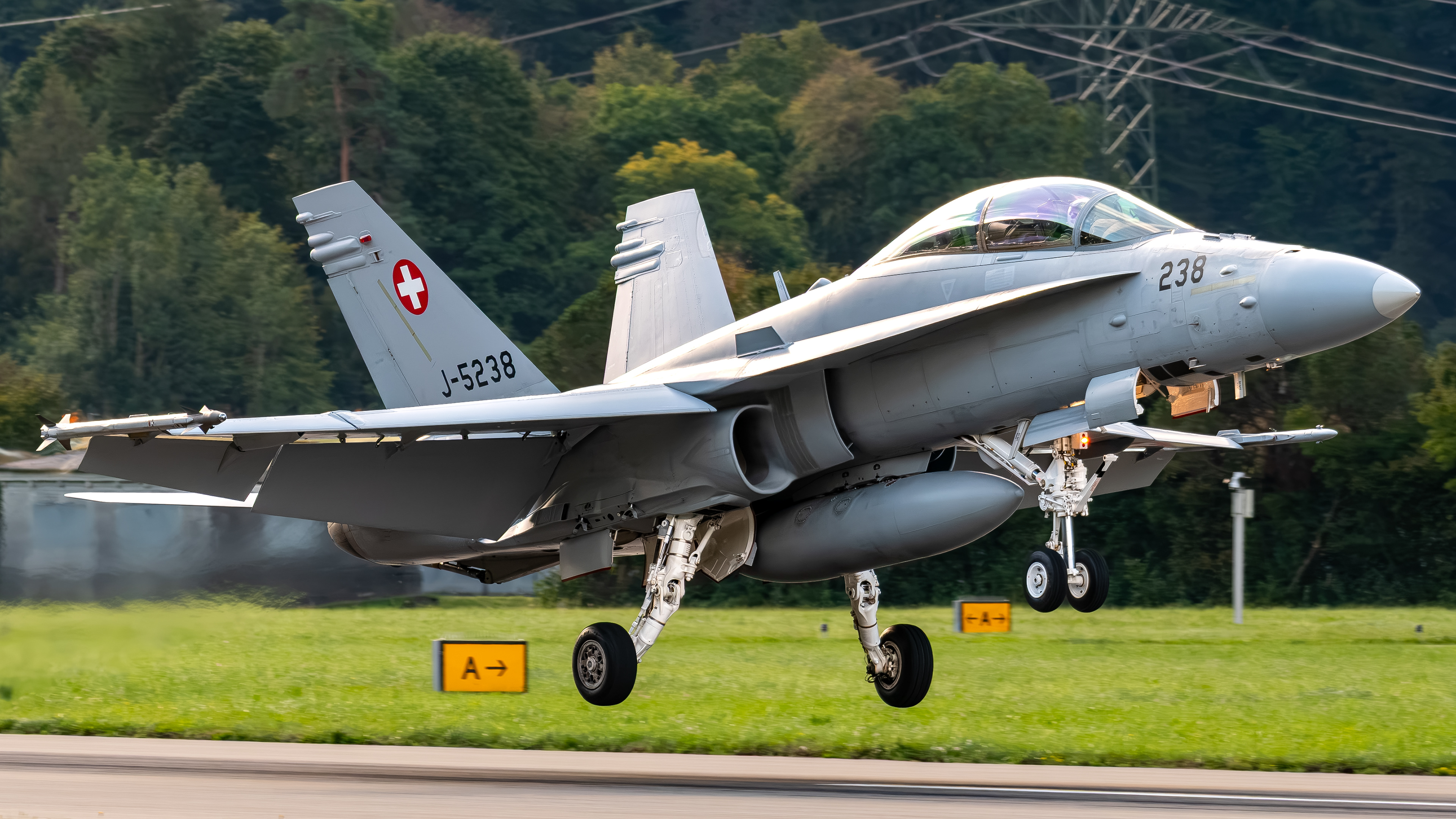 Swiss Air Force - F/A-18D Hornet - J-5238 (COBRA52)