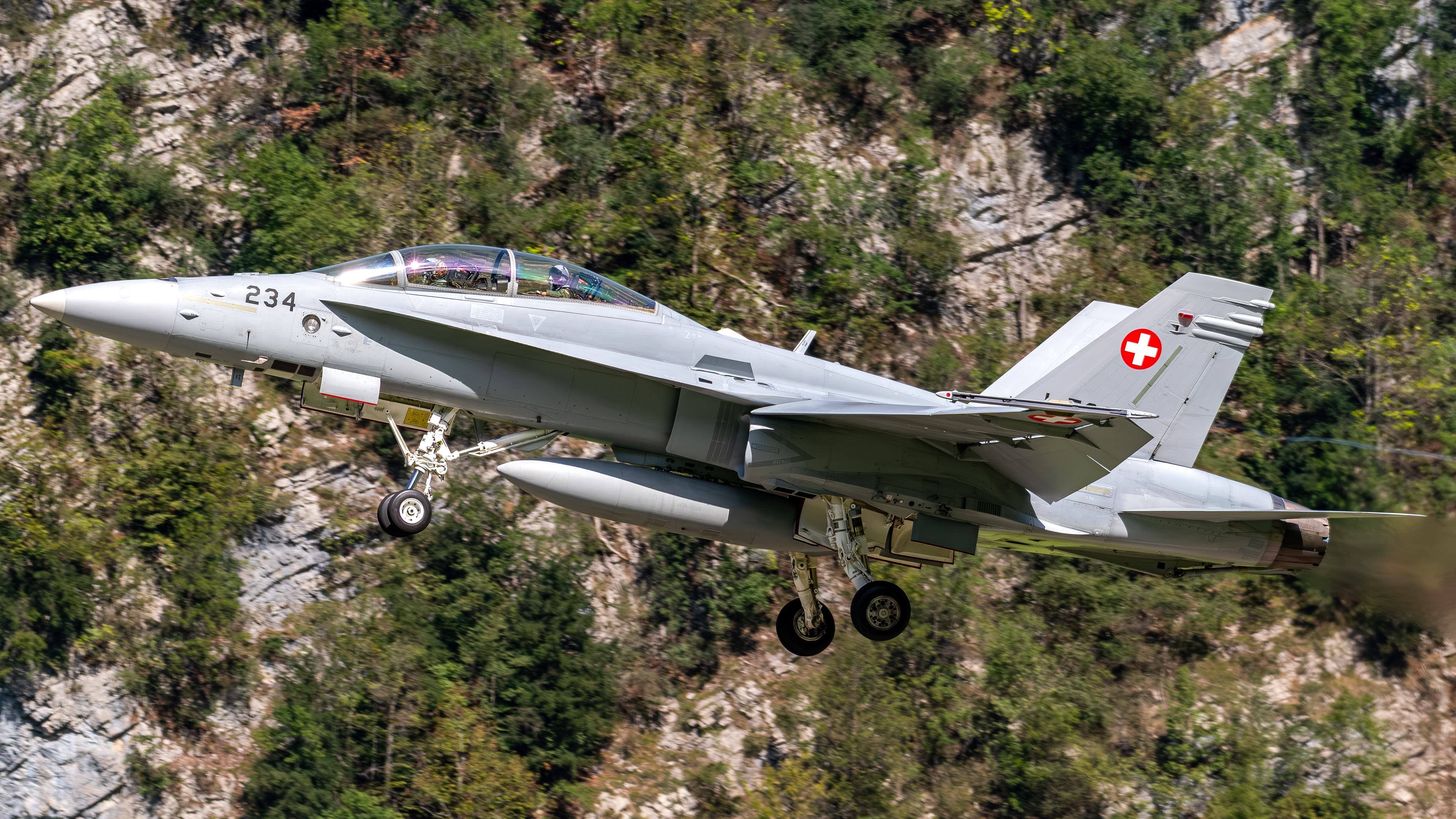 Swiss Air Force - F/A-18D Hornet - J-5234 (BLADE21)