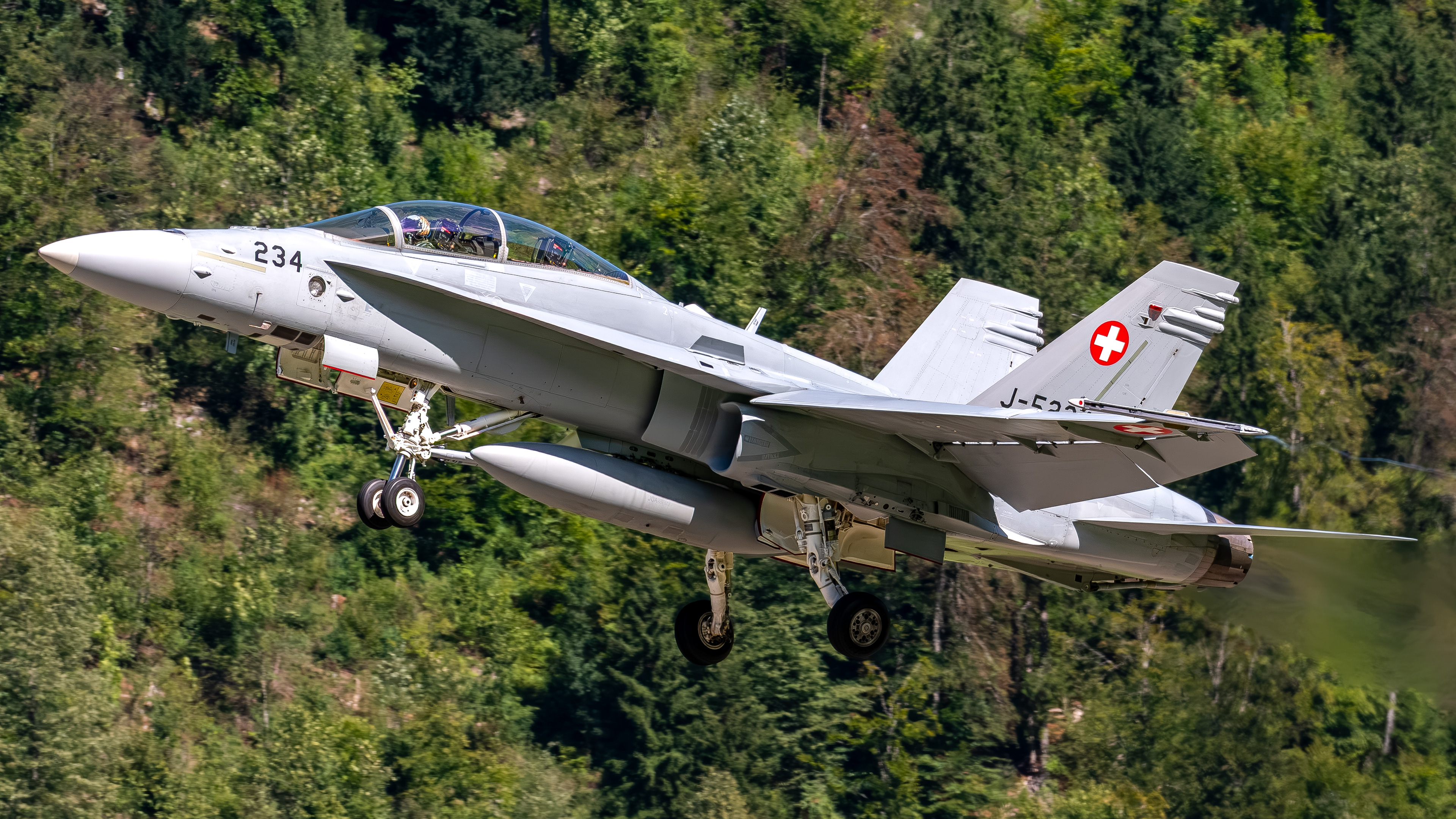 Swiss Air Force - F/A-18D Hornet - J-5234 (RAGE33)