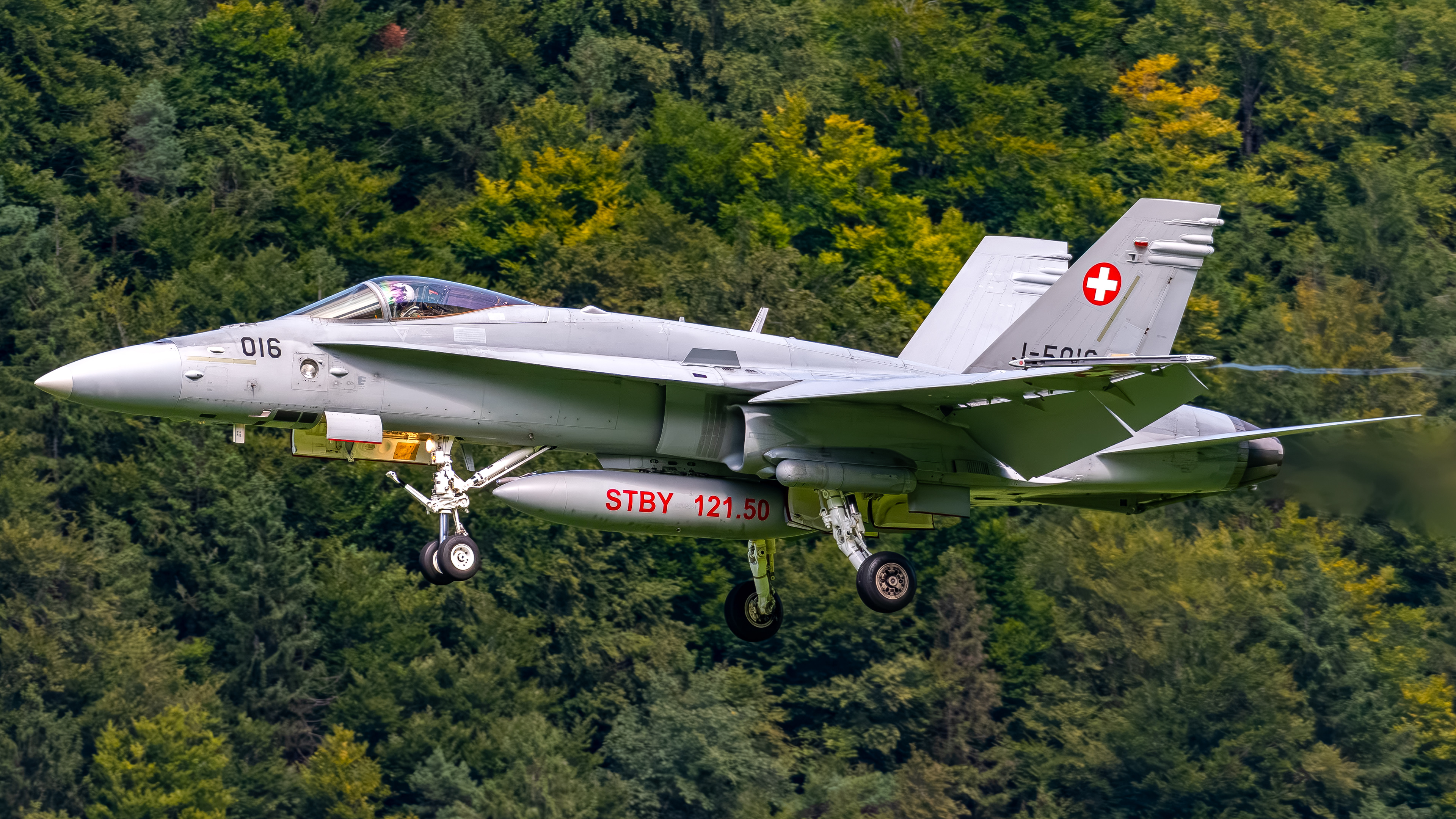 Swiss Air Force - F/A-18C Hornet - J-5005 (RAGE31)