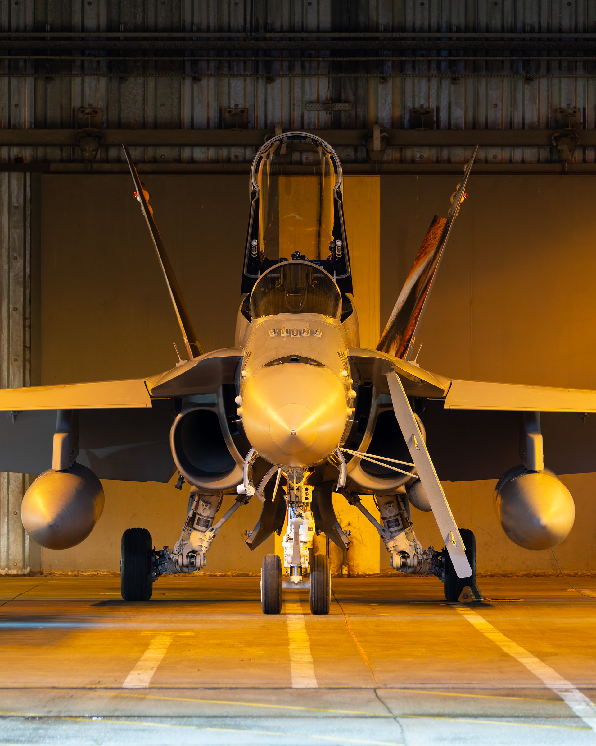 Swiss Air Force - F/A-18C Hornet - J-5002