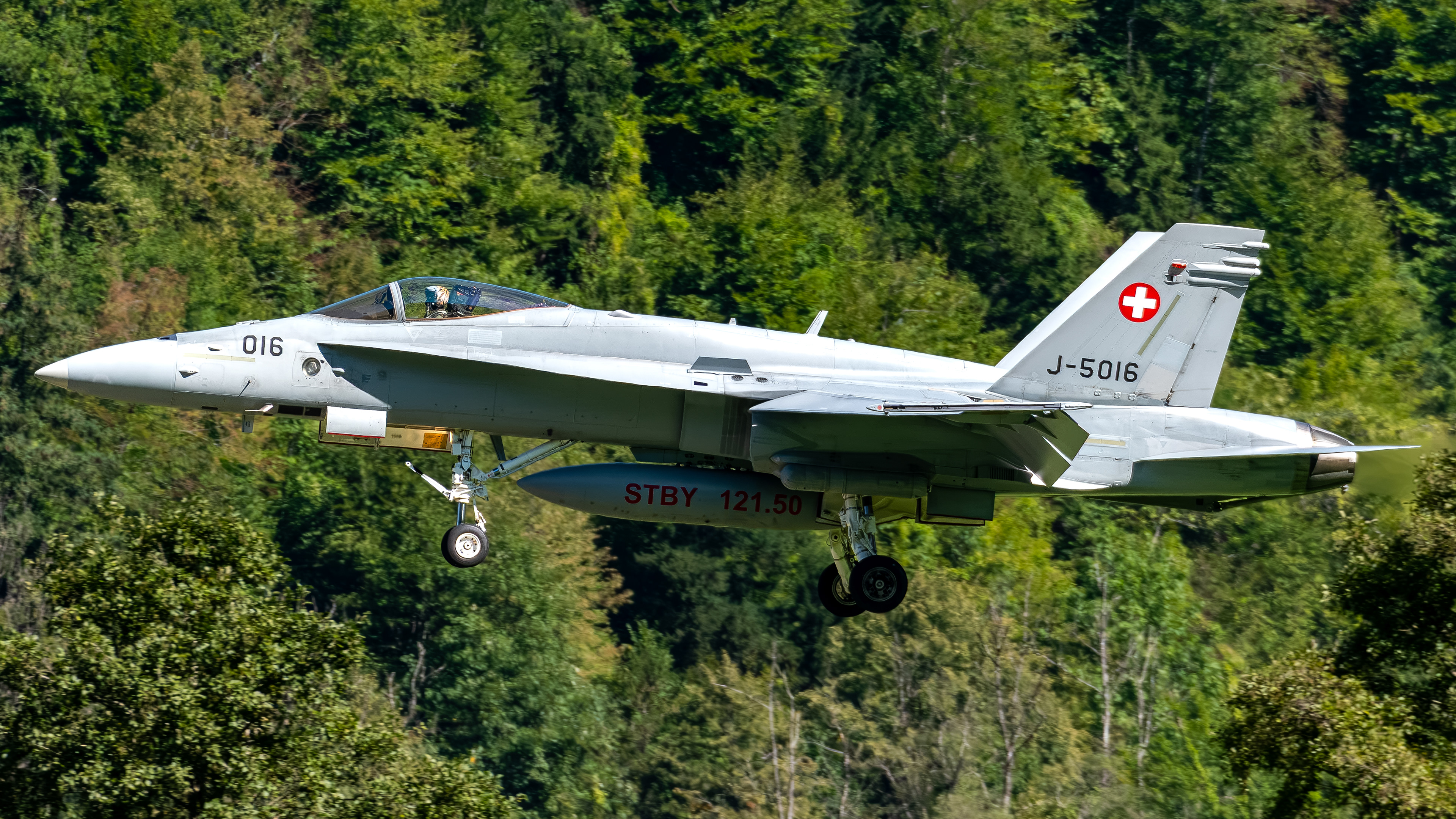 Swiss Air Force - F/A-18C Hornet - J-5016 (COBRA11)