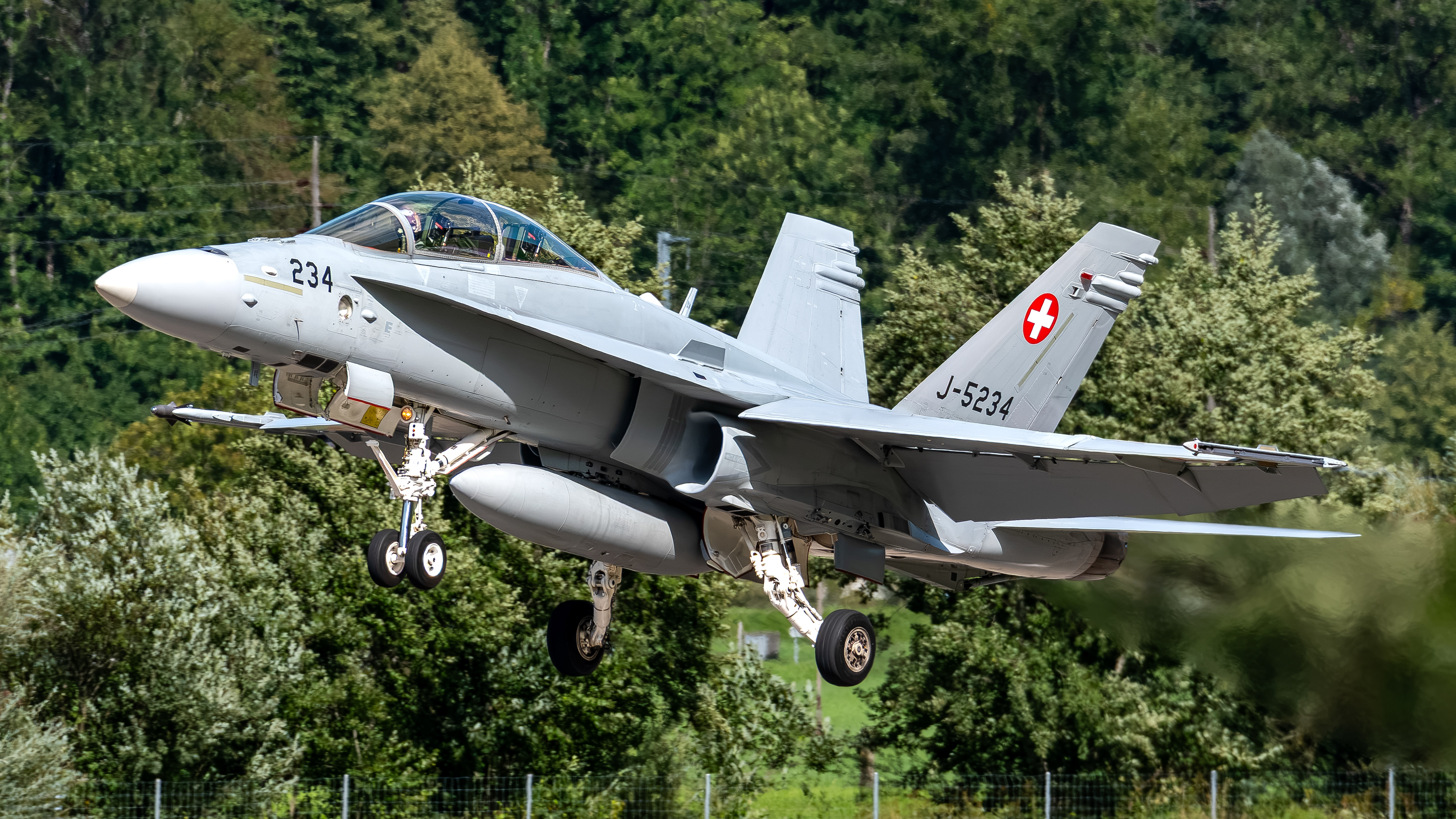 Swiss Air Force - F/A-18D Hornet - J-5234 (VIPER43)