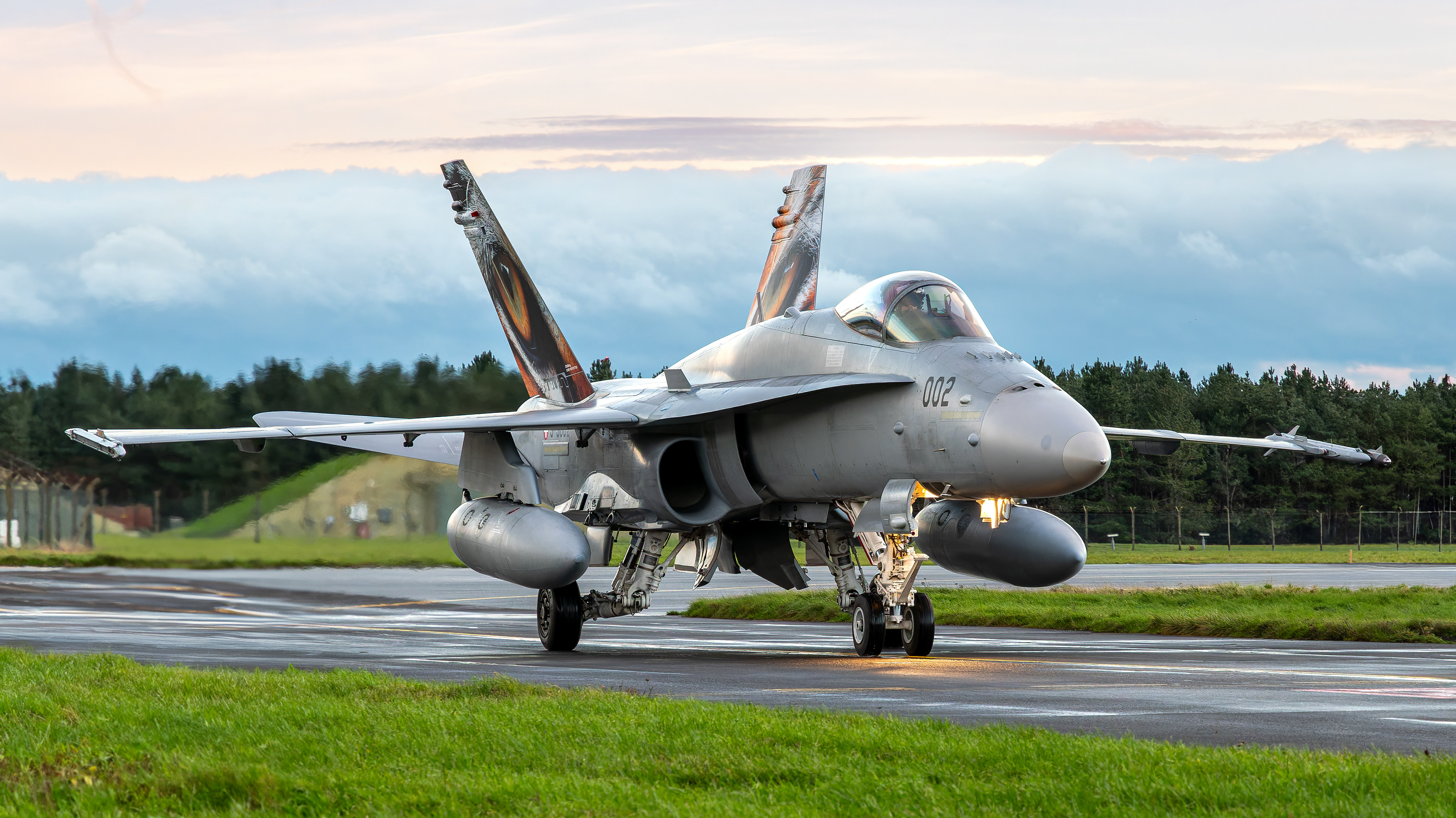 Swiss Air Force - F/A-18C Hornet - J-5002 (GREY11)