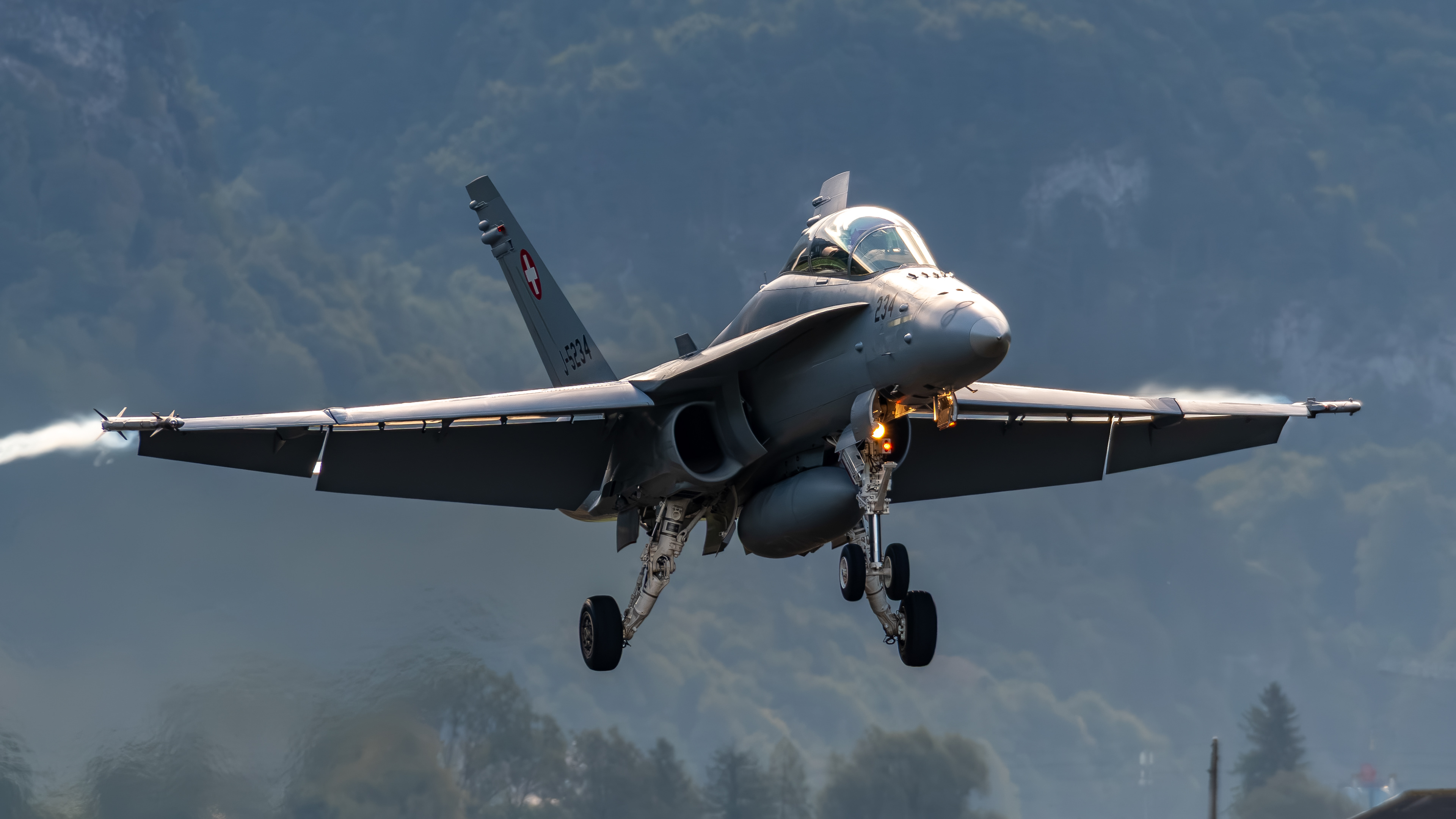 Swiss Air Force - F/A-18D Hornet - J-5234 (COBRA51)