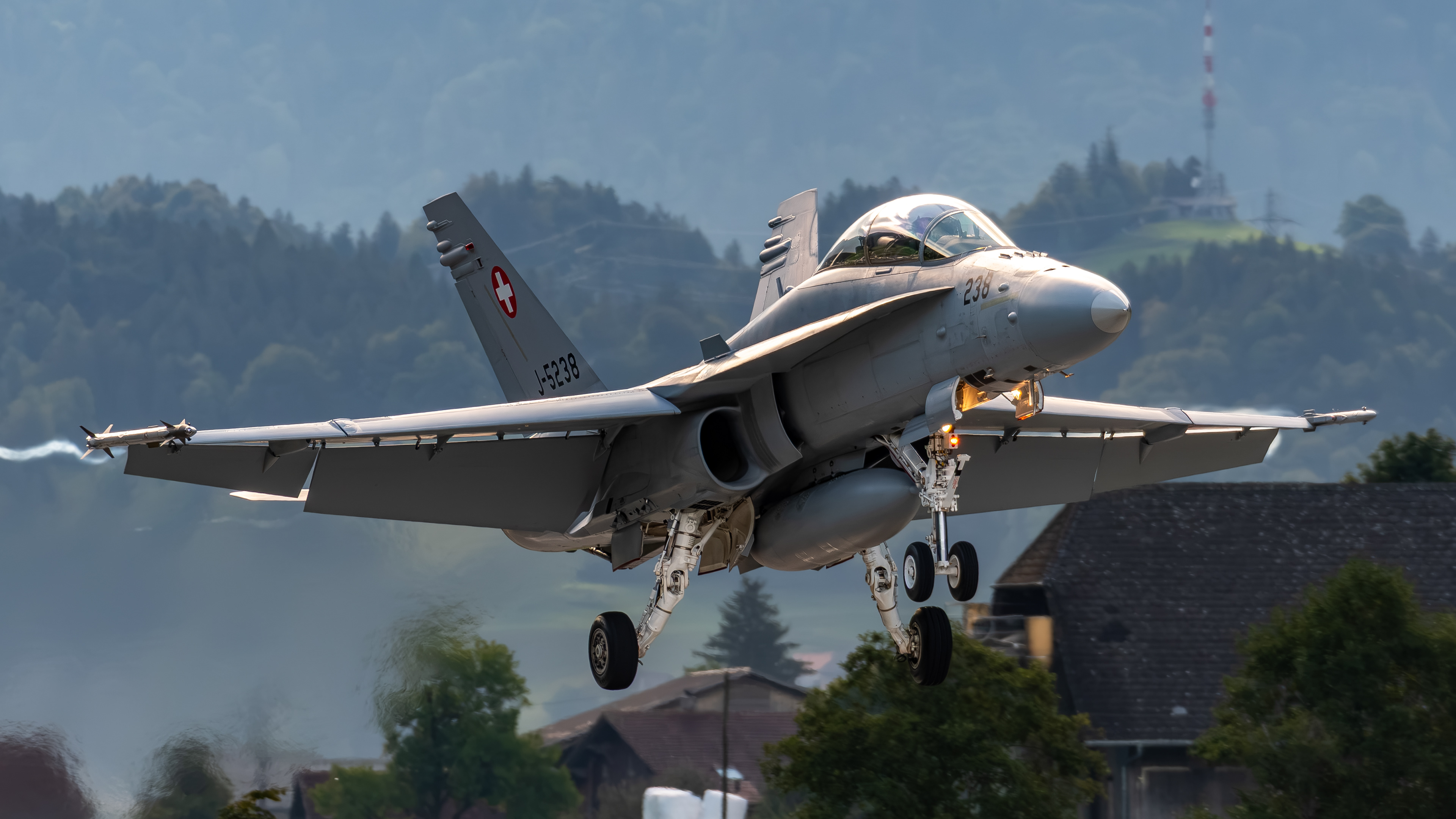 Swiss Air Force - F/A-18D Hornet - J-5238 (COBRA52)