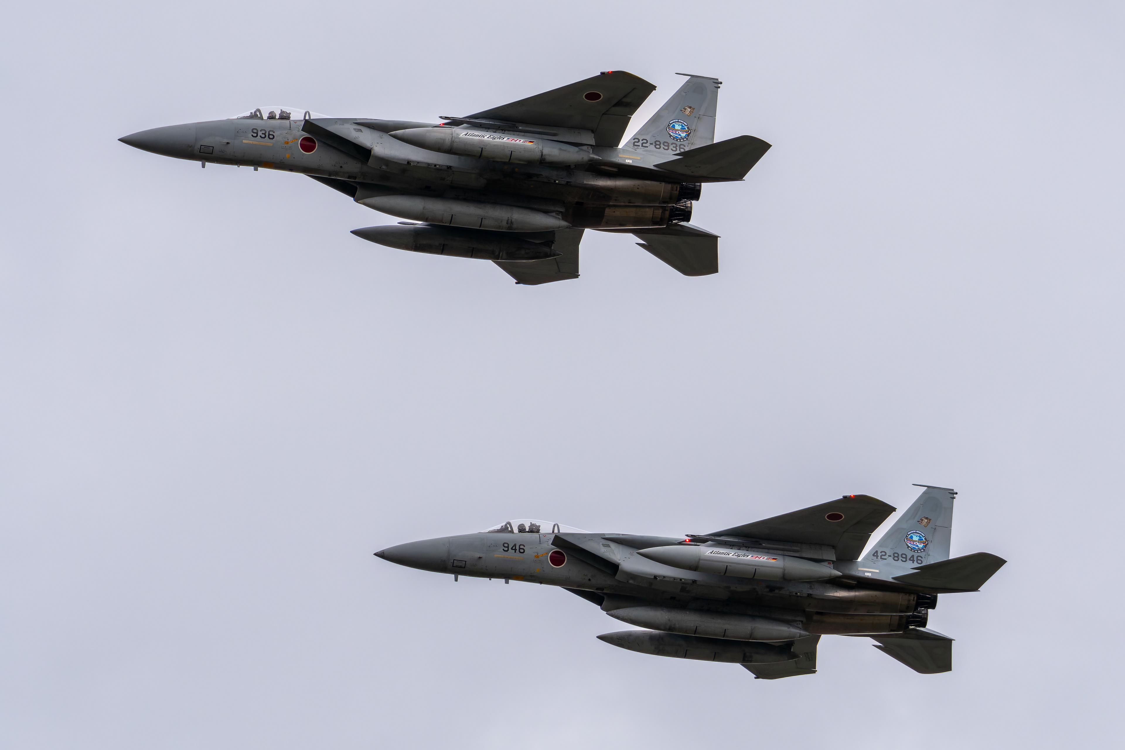 JASDF - Mitsubishi F-15J (JINTEI1/2)