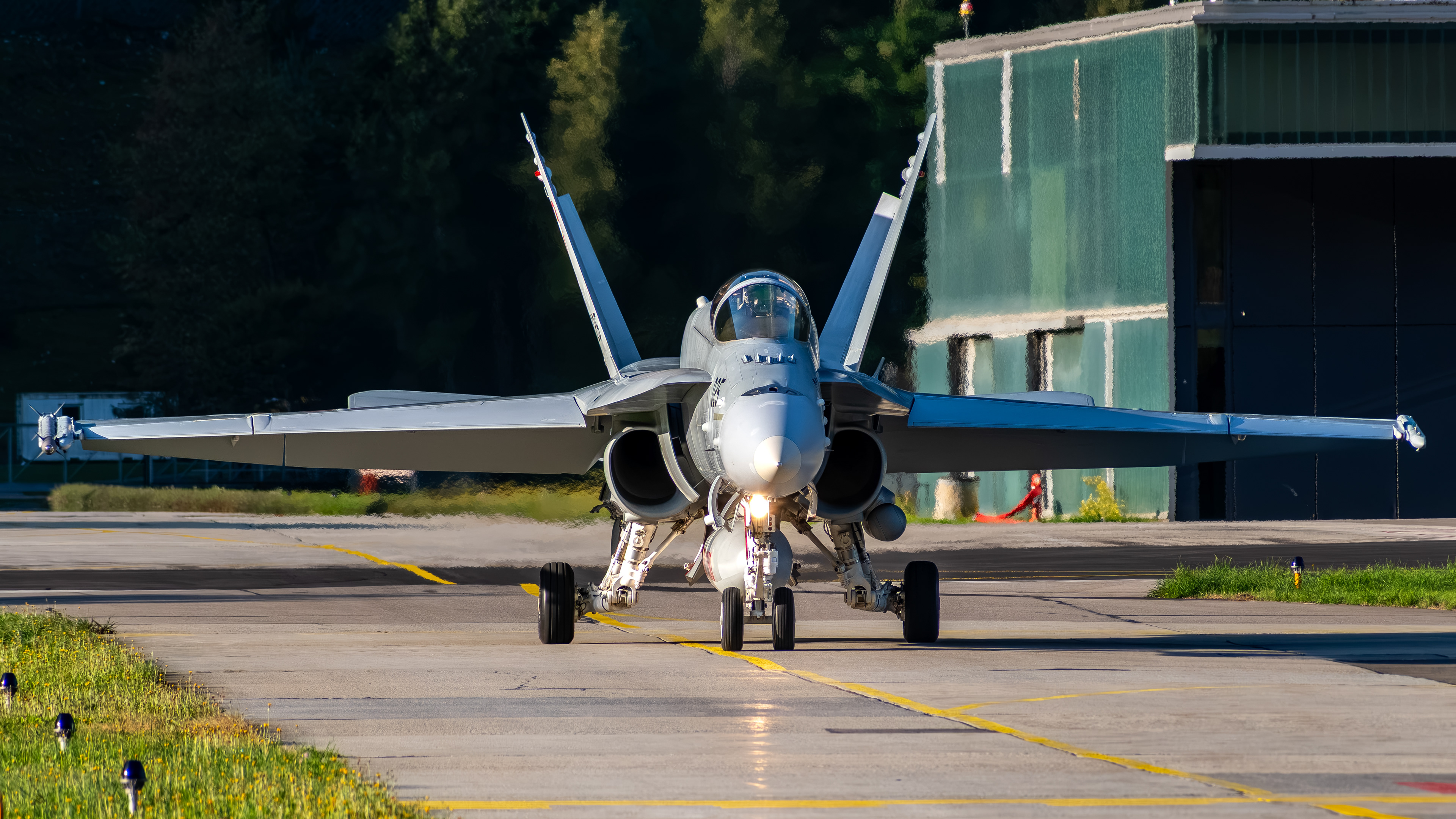 Swiss Air Force - F/A-18C Hornet - J-5025 (VIPER12)