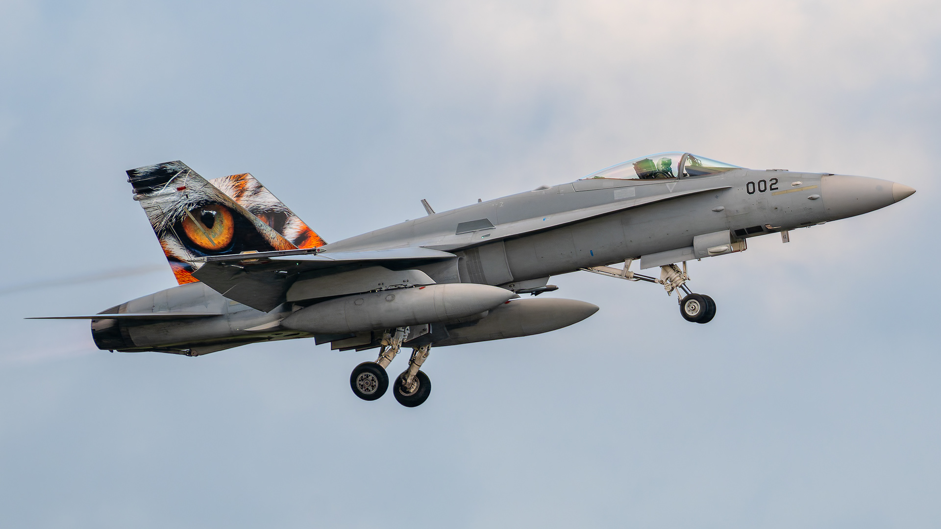 Swiss Air Force - F/A-18C Hornet - J-5002