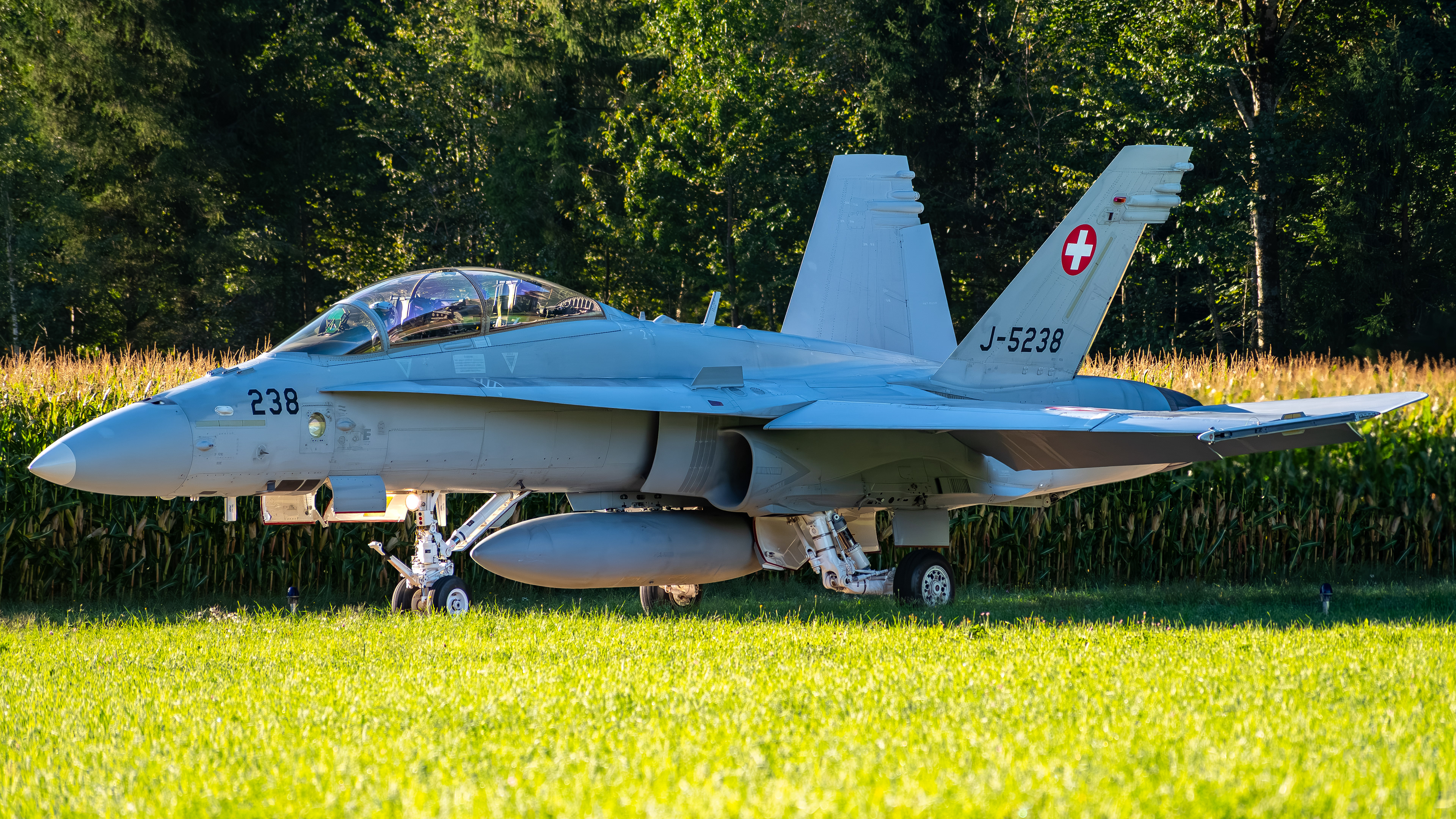 Swiss Air Force - F/A-18D Hornet - J-5238