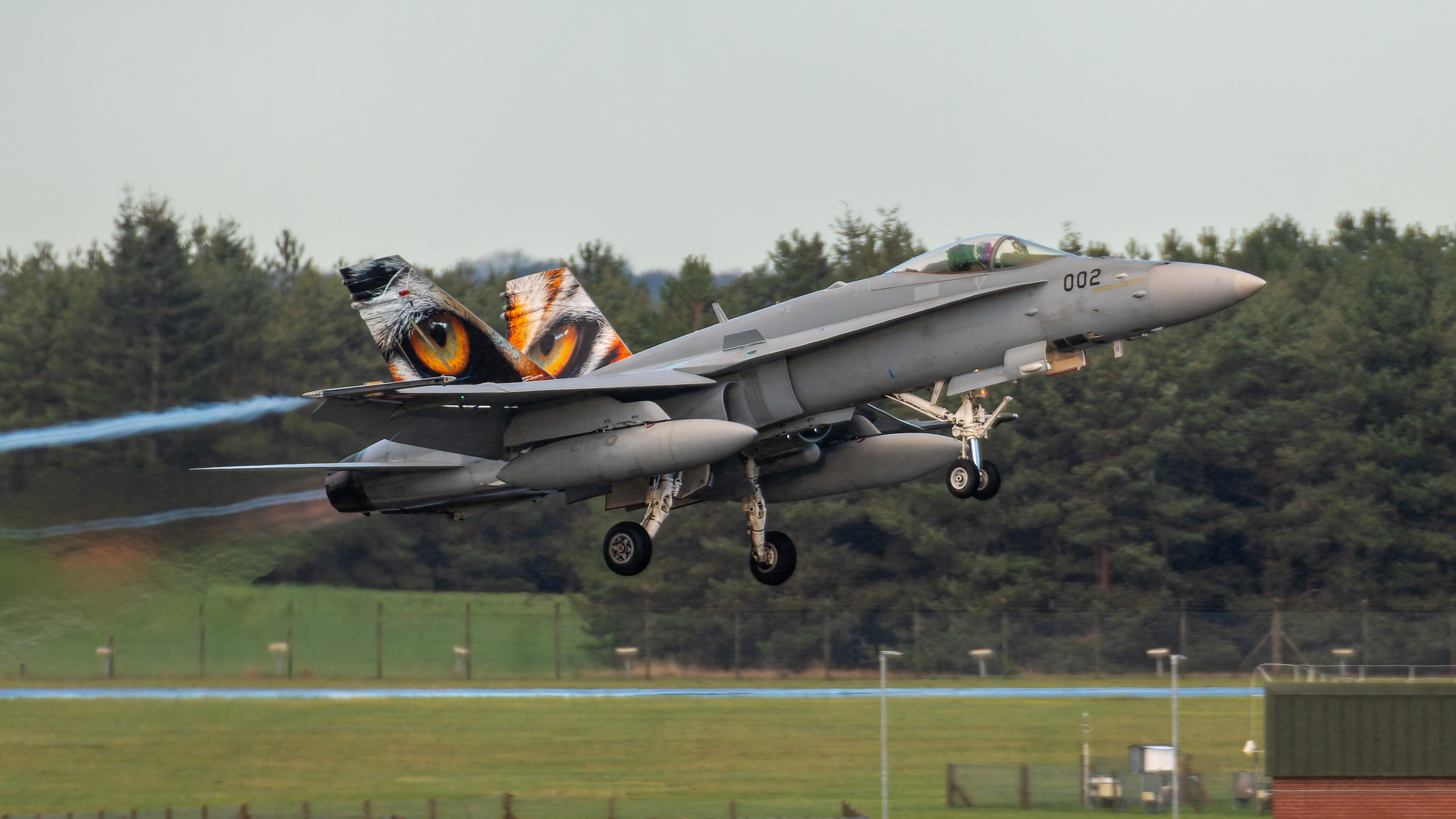 Swiss Air Force - F/A-18C Hornet - J-5002