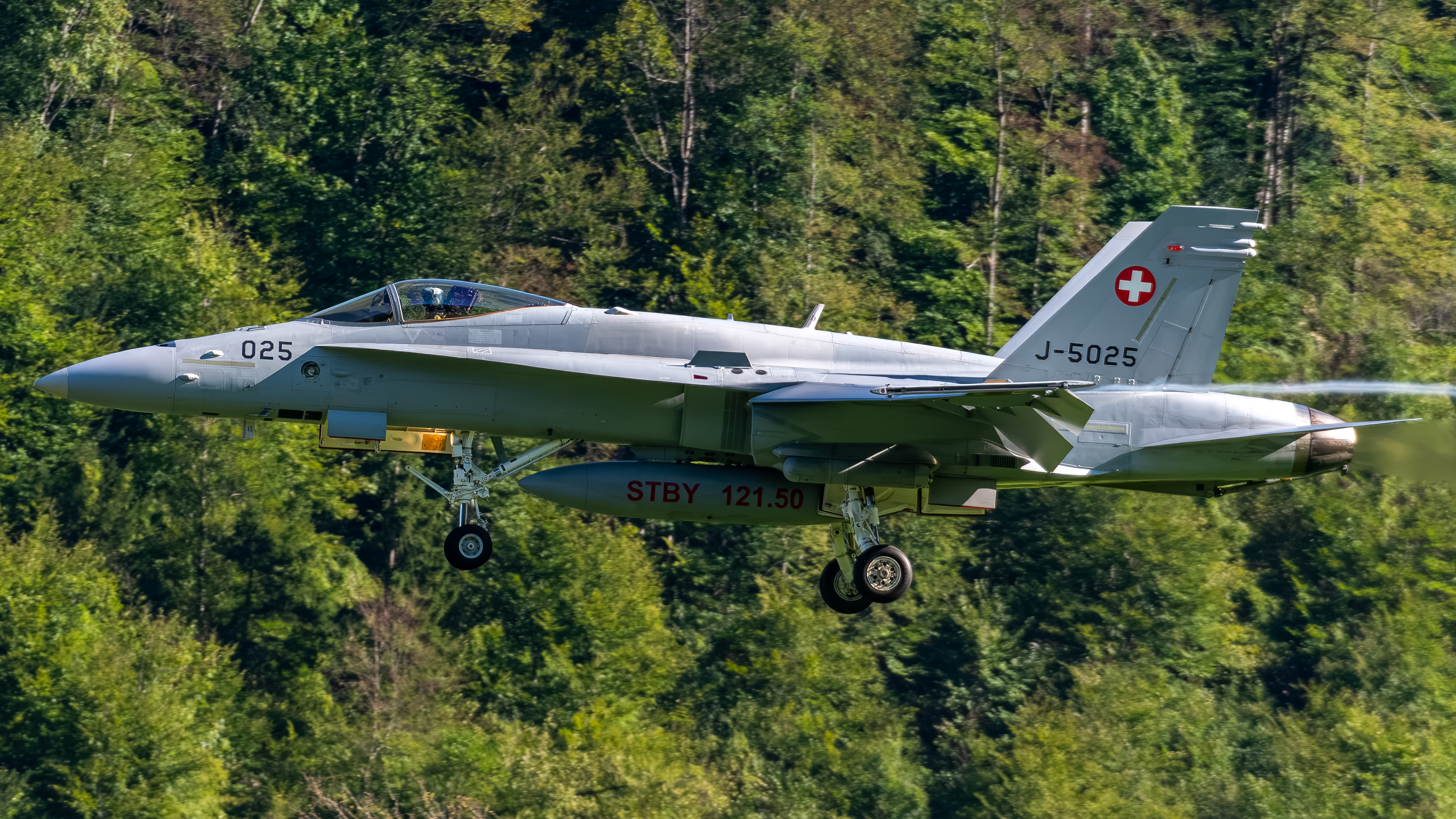 Swiss Air Force - F/A-18C Hornet - J-5025 (VIPER12)