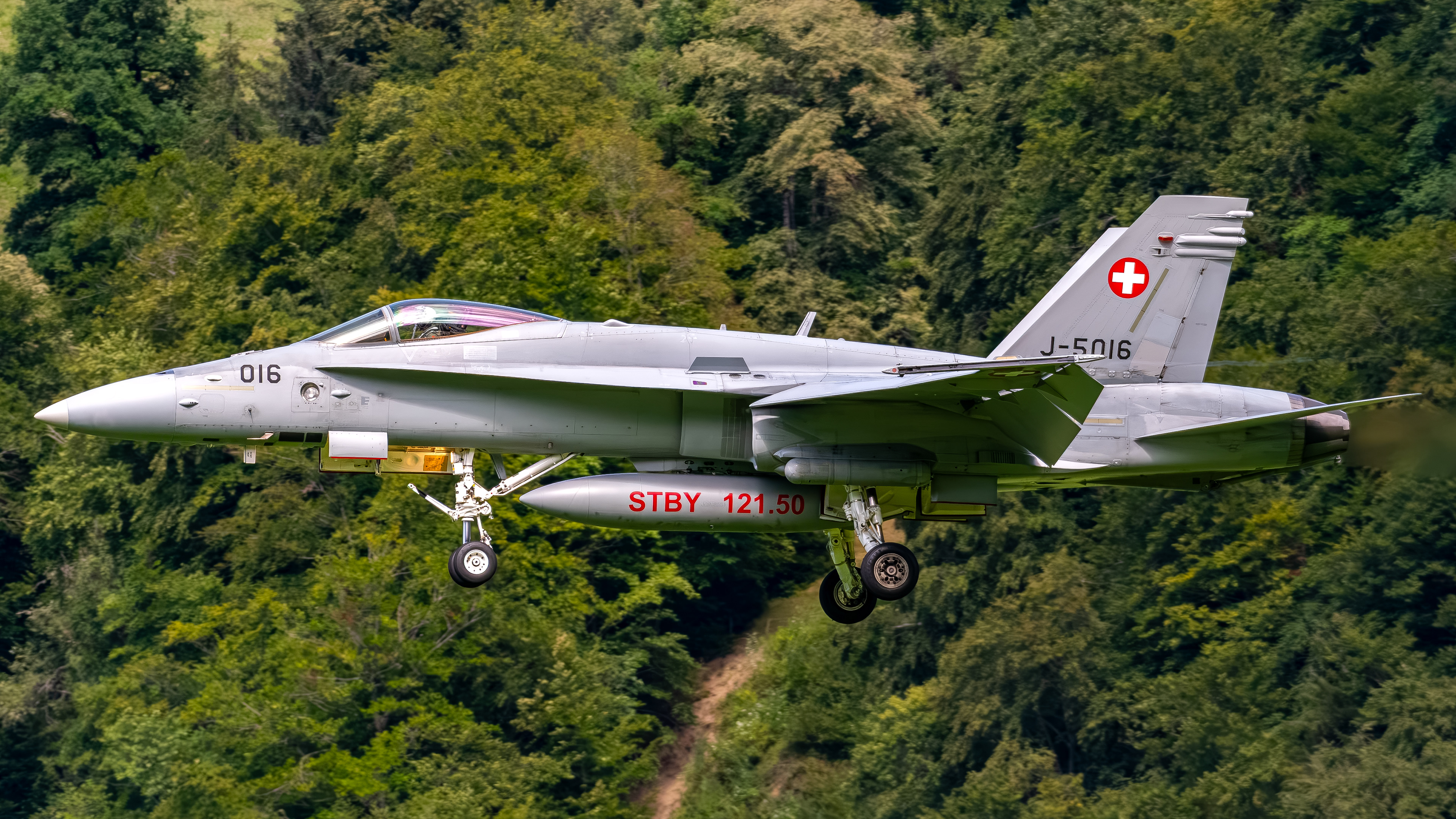 Swiss Air Force - F/A-18C Hornet - J-5016 (RAGE32)