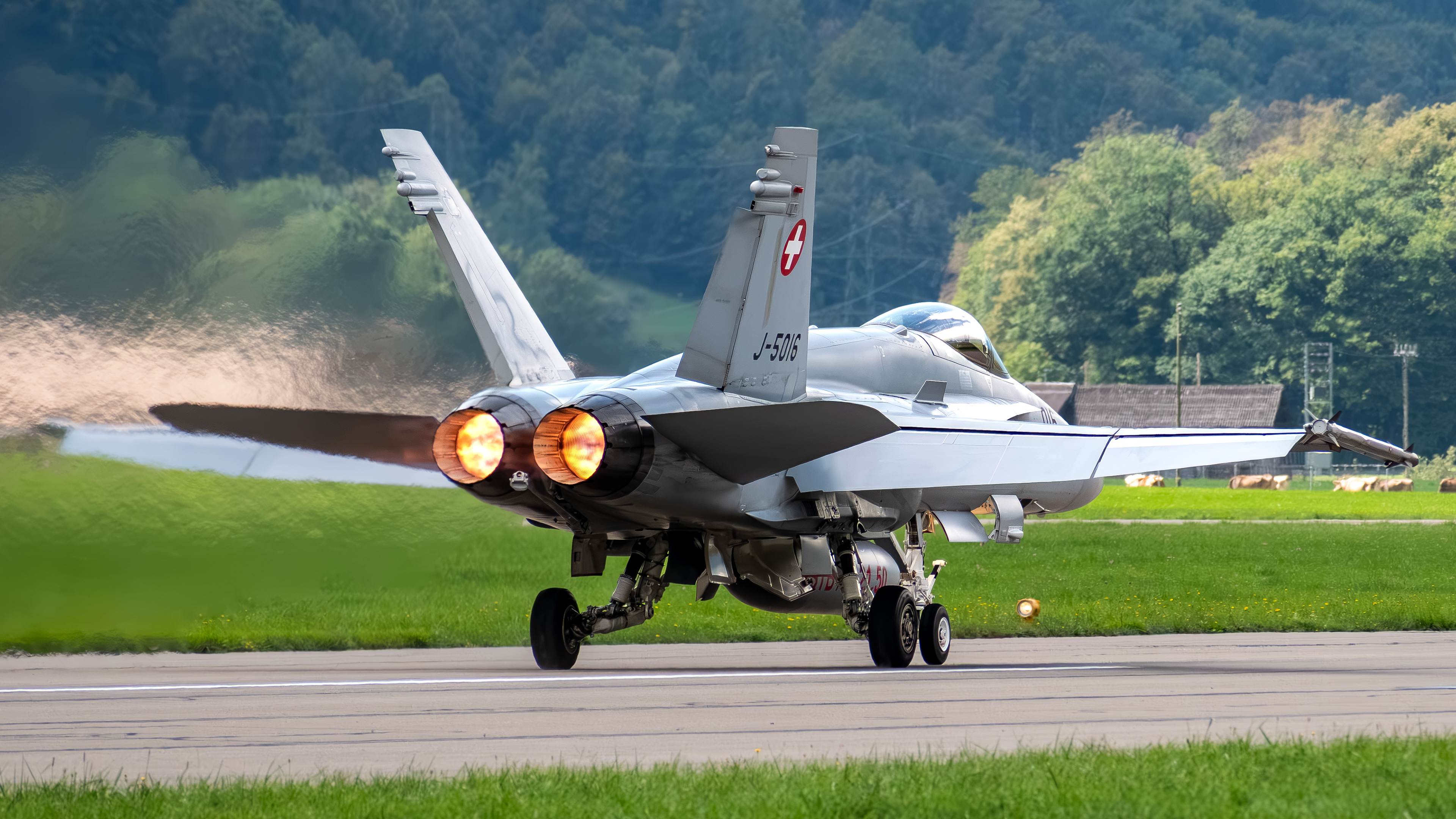 Swiss Air Force - F/A-18C Hornet - J-5016 (YEAST41)