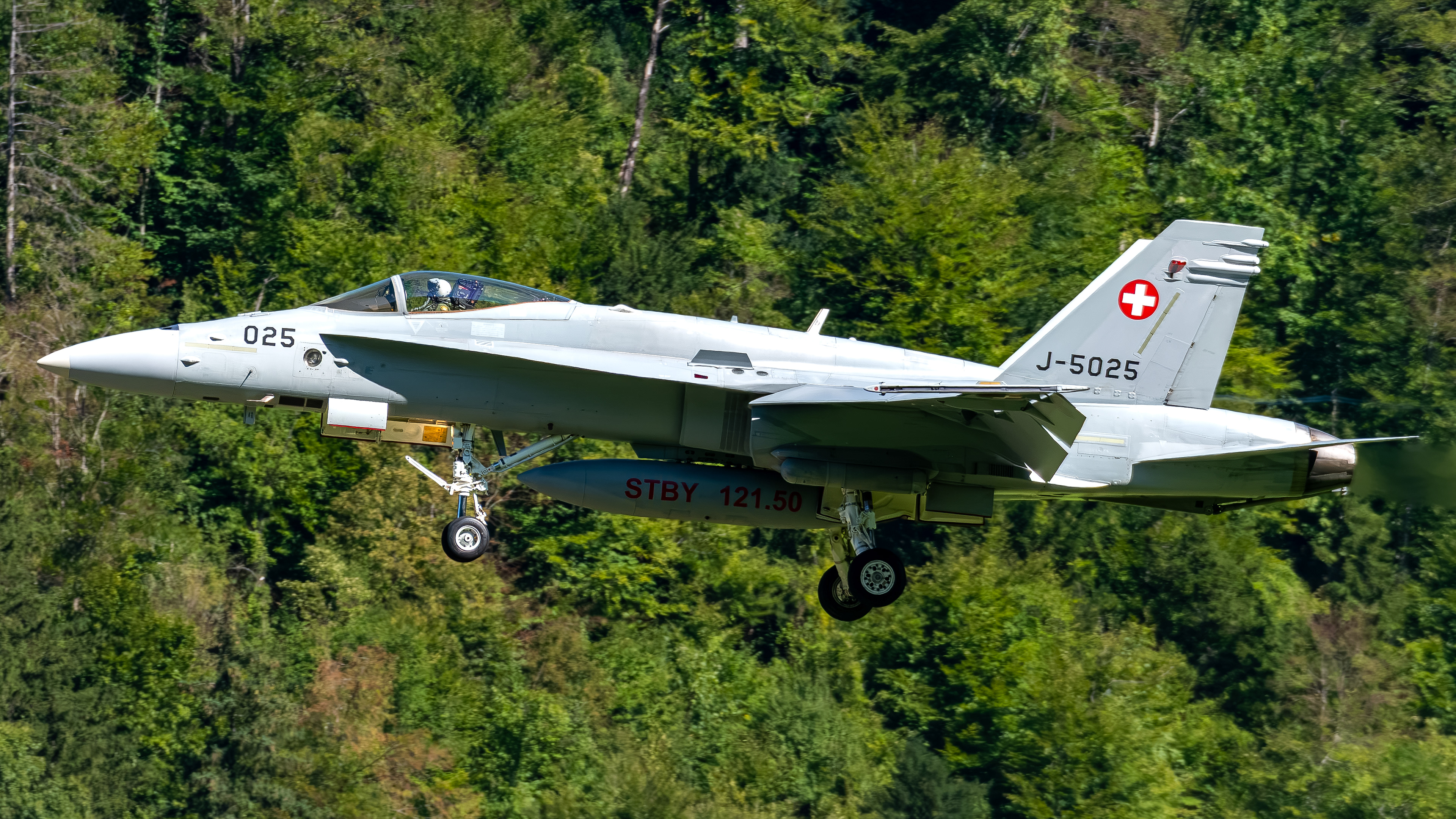 Swiss Air Force - F/A-18C Hornet - J-5025 (RAGE22)
