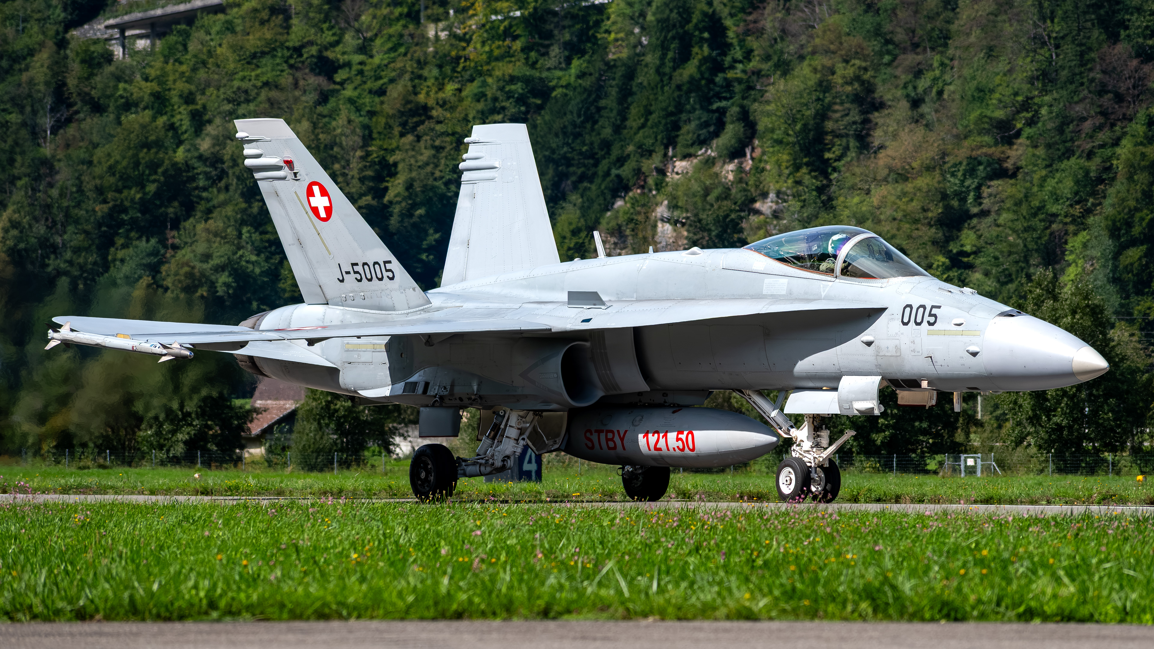 Swiss Air Force - F/A-18C Hornet - J-5005 (BEAST12)