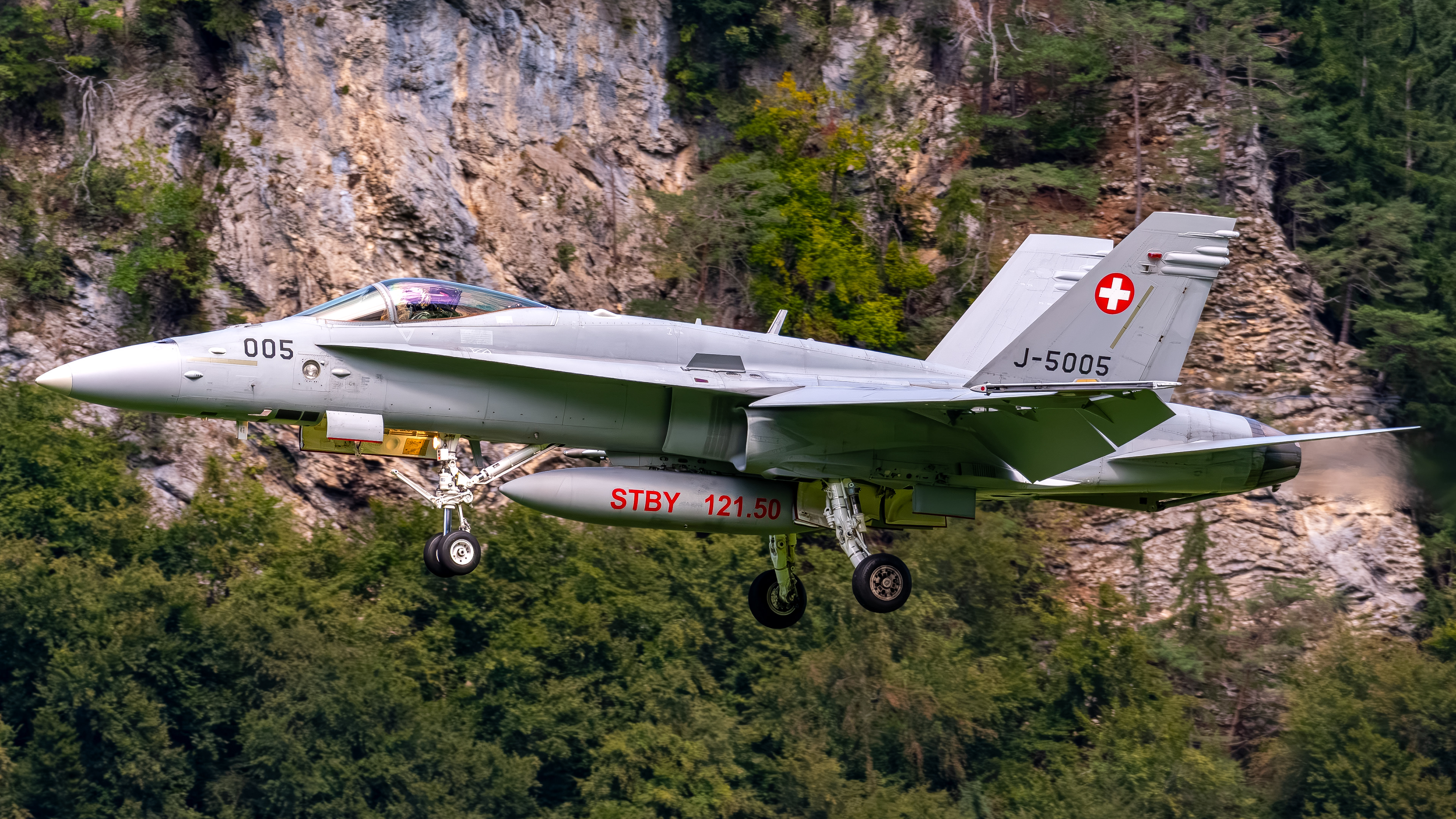 Swiss Air Force - F/A-18C Hornet - J-5005 (RAGE31)
