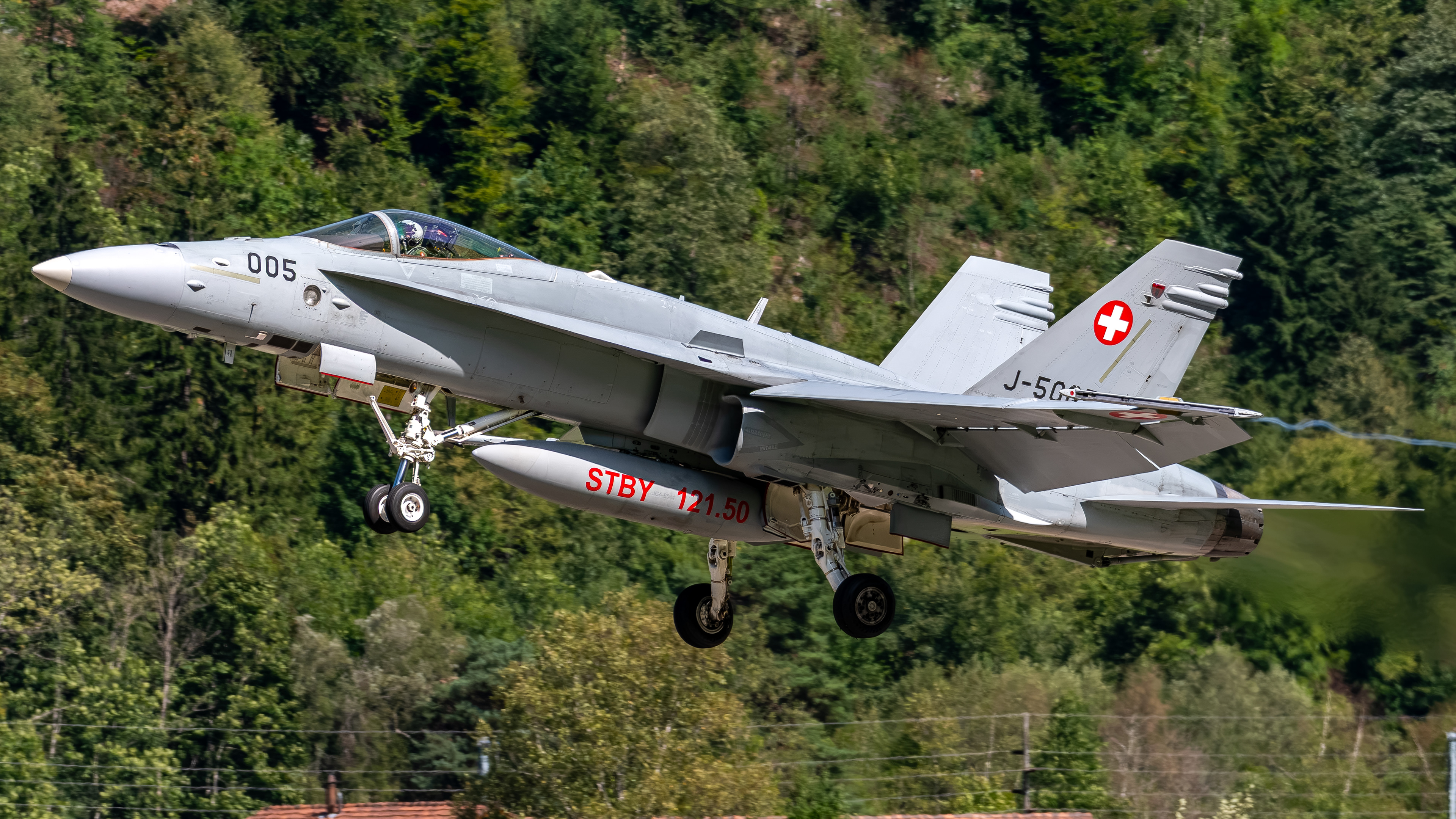 Swiss Air Force - F/A-18C Hornet - J-5005 (BEAST12)