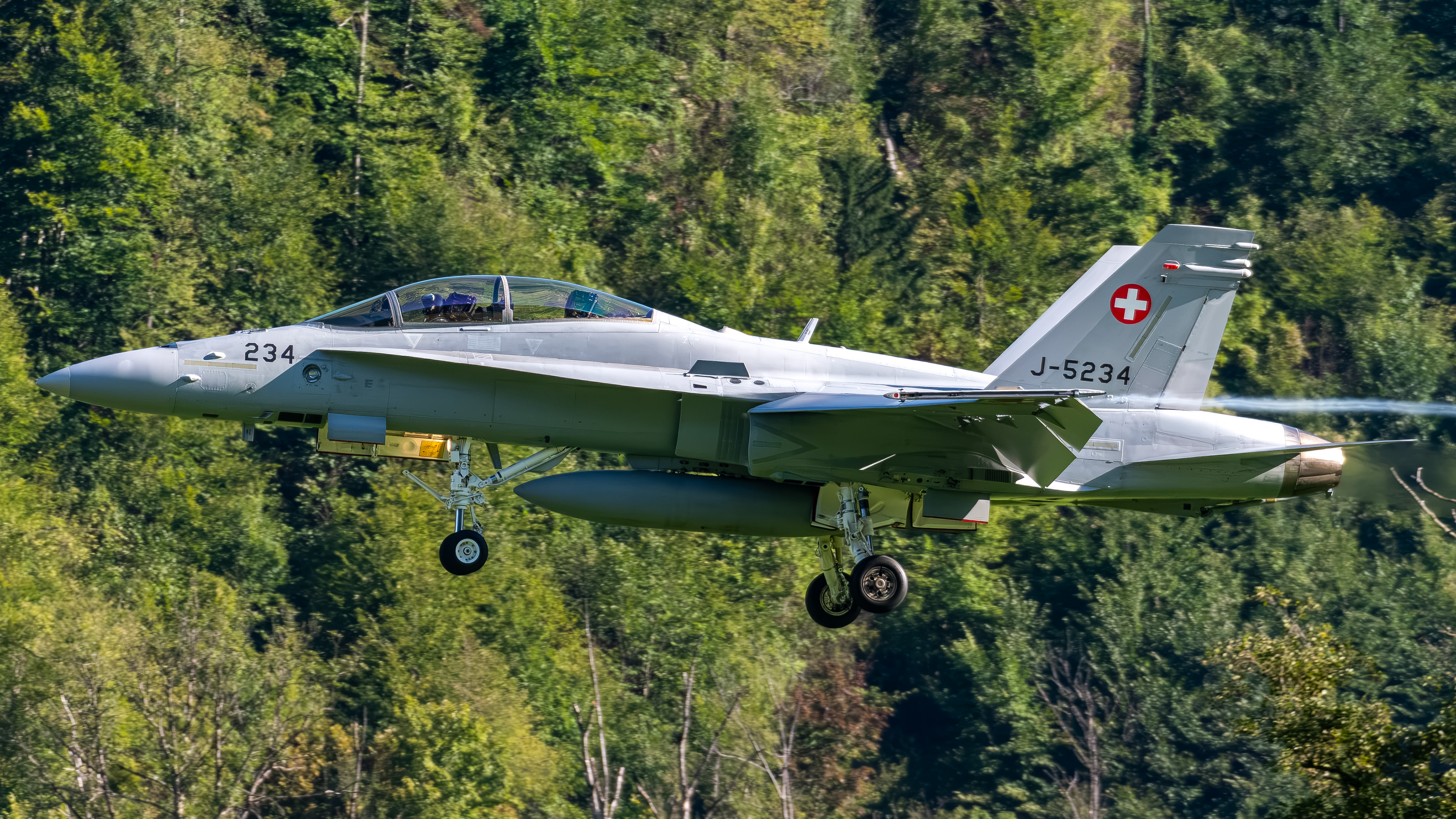 Swiss Air Force - F/A-18D Hornet - J-5234 (VIPER11)
