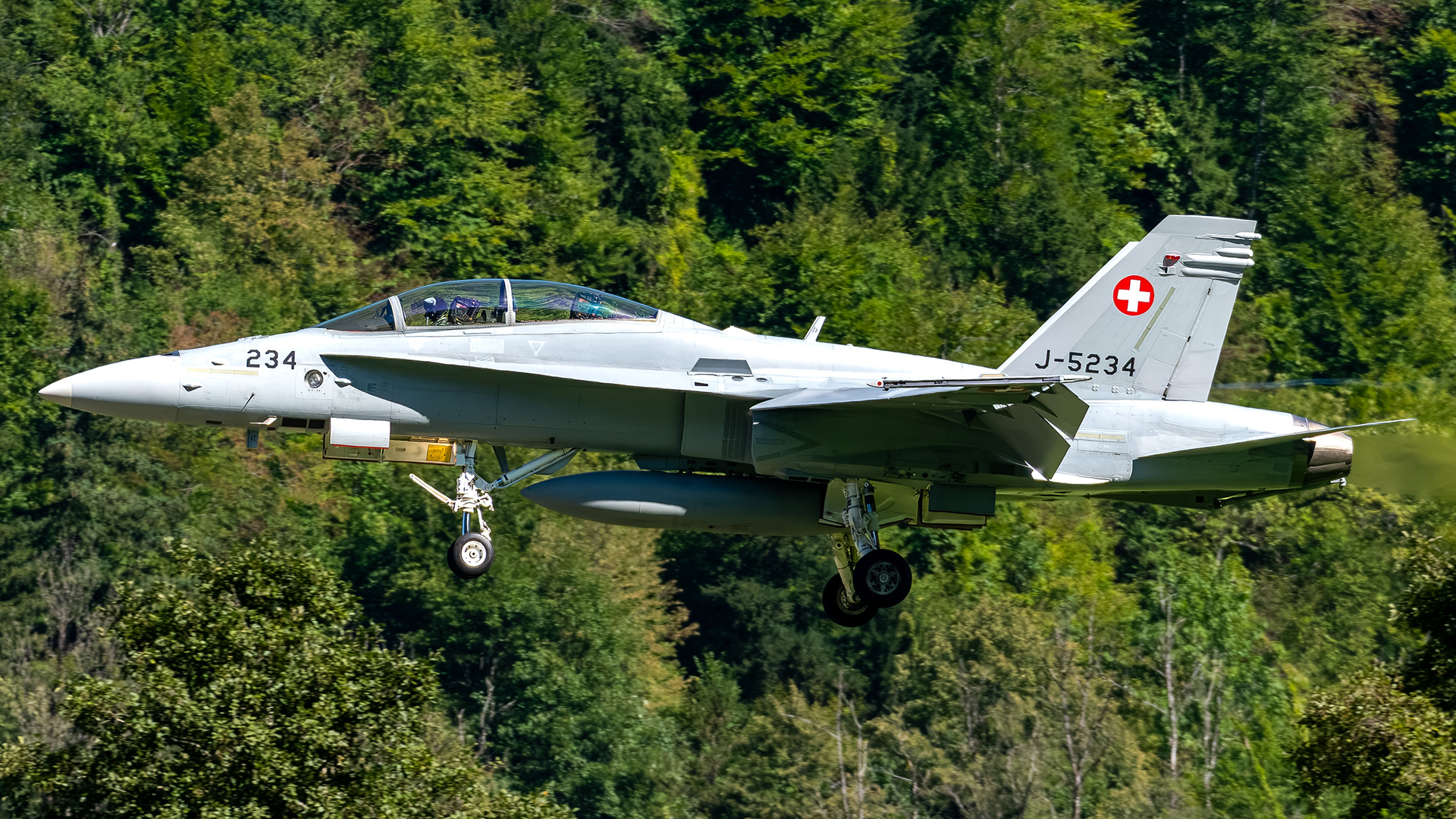 Swiss Air Force - F/A-18D Hornet - J-5234 (RAGE21)