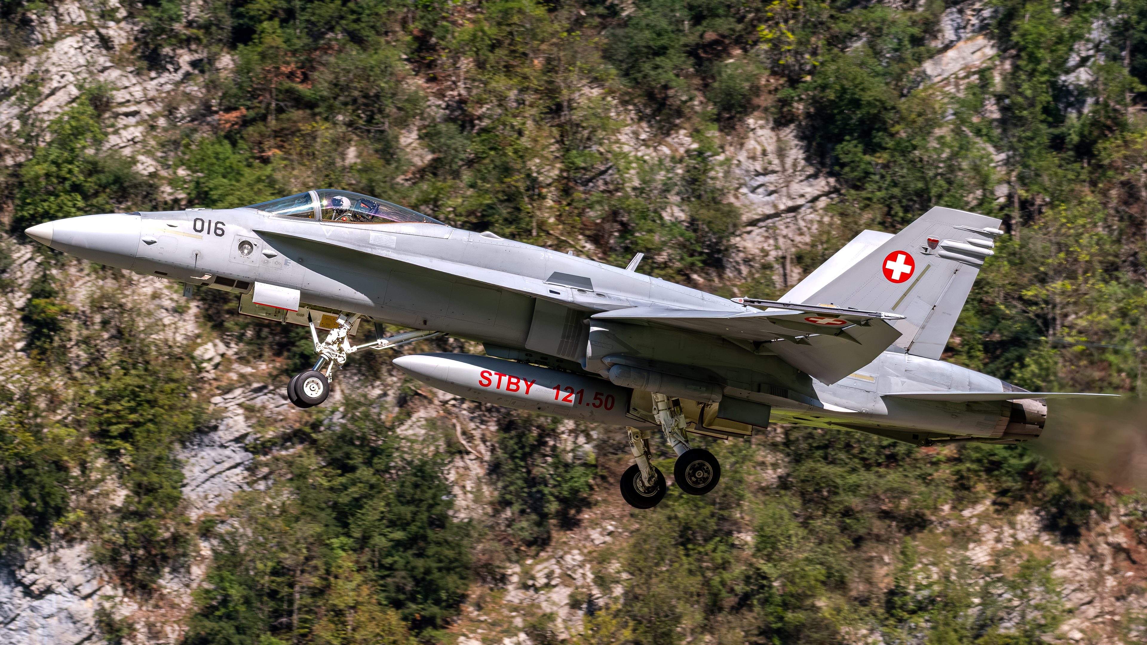 Swiss Air Force - F/A-18C Hornet - J-5016 (RAGE32)