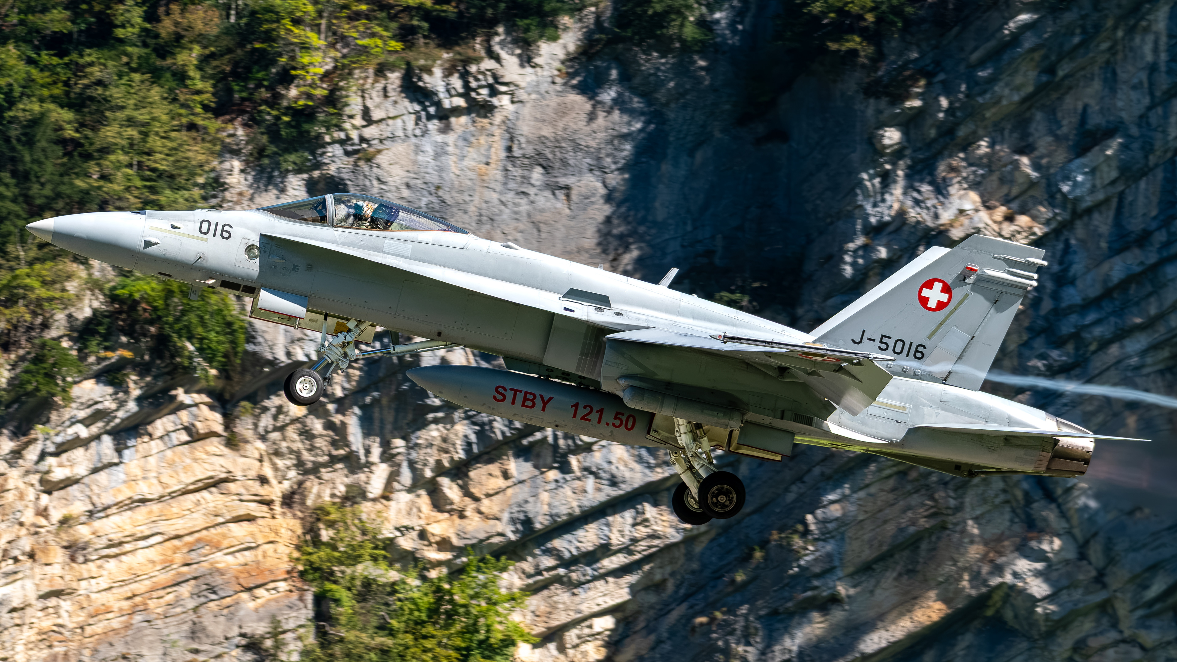 Swiss Air Force - F/A-18C Hornet - J-5016 (COBRA11)