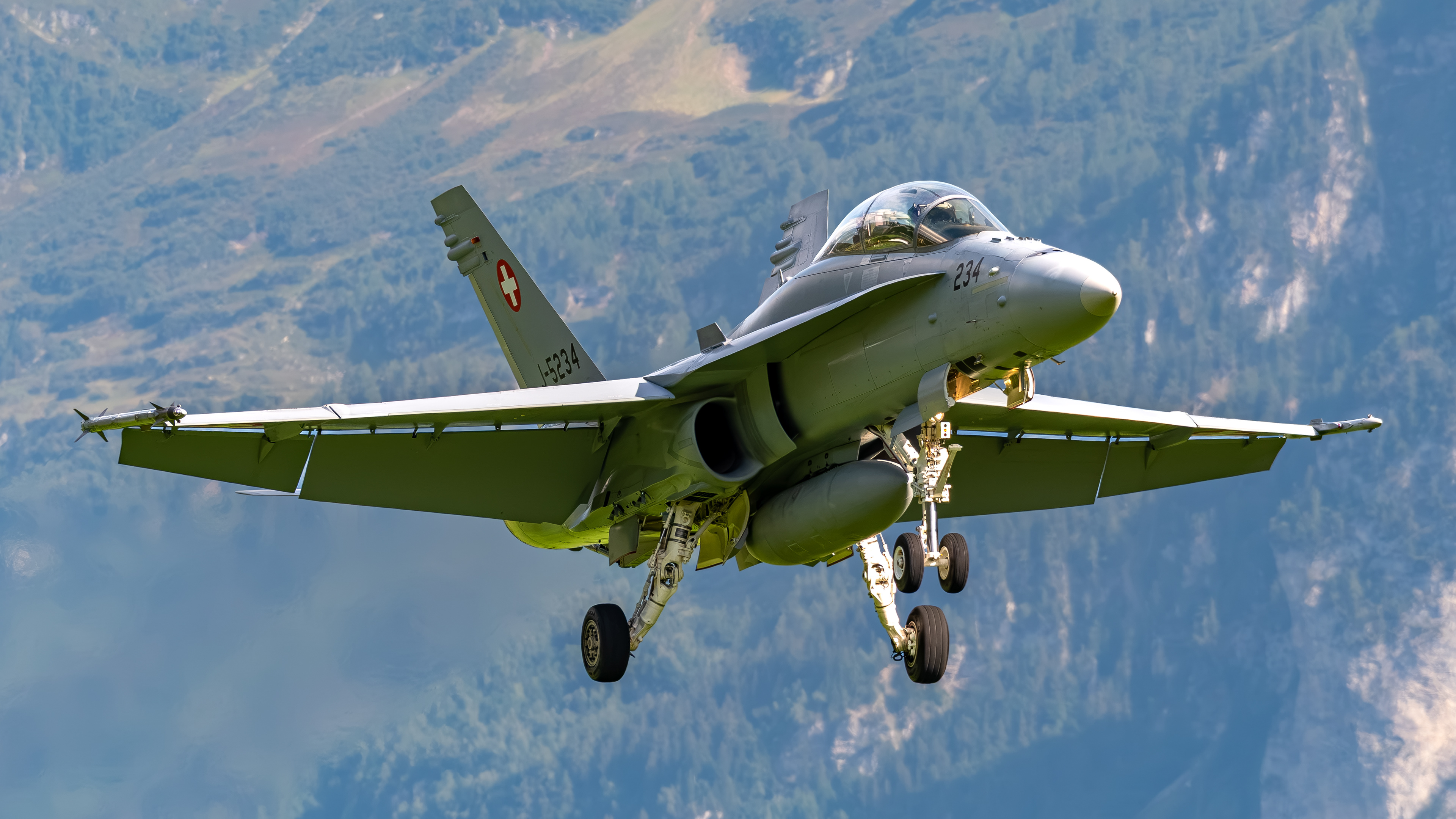 Swiss Air Force - F/A-18D Hornet - J-5234 (VIPER43)