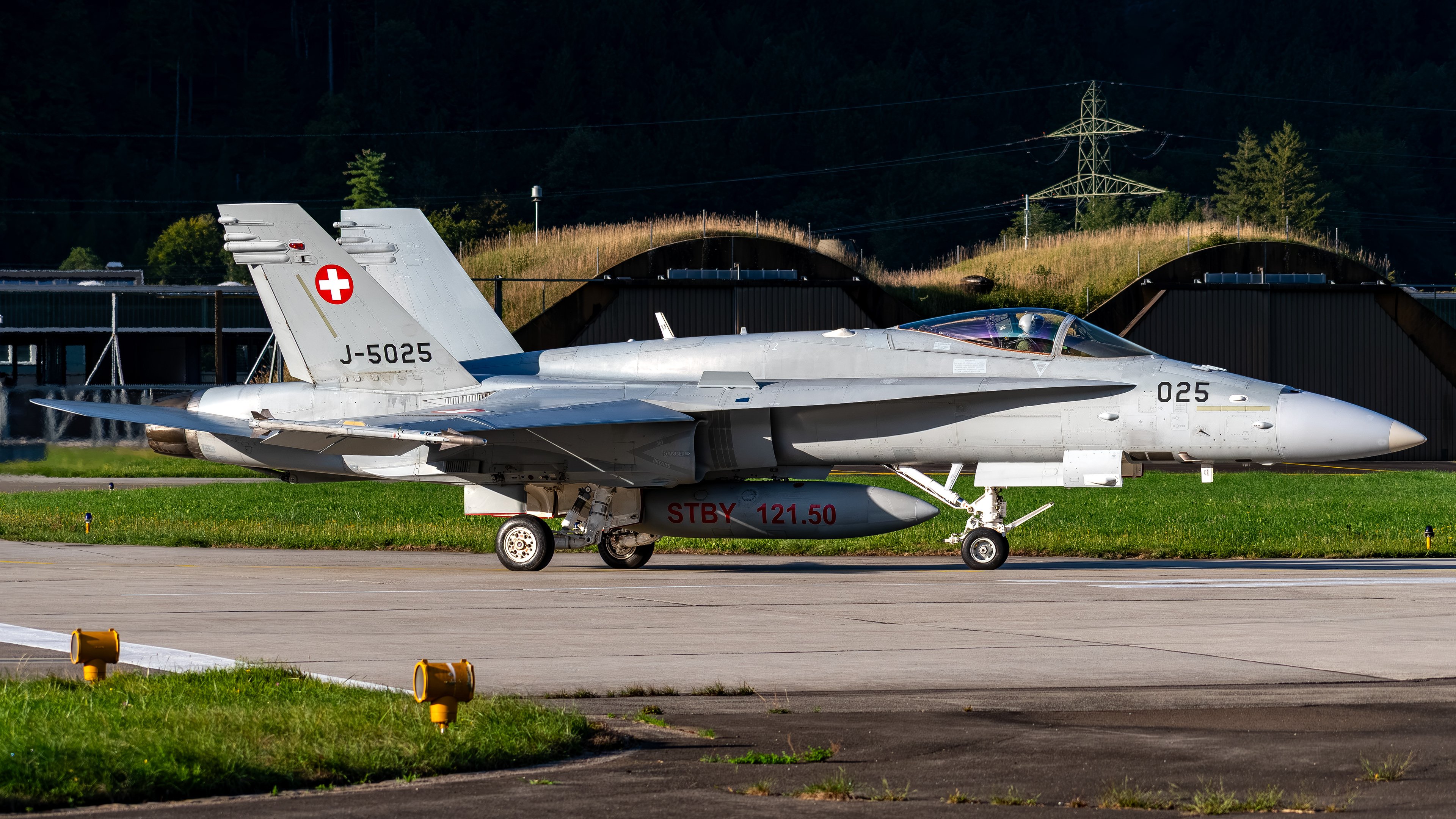 Swiss Air Force - F/A-18C Hornet - J-5025 (VIPER12)