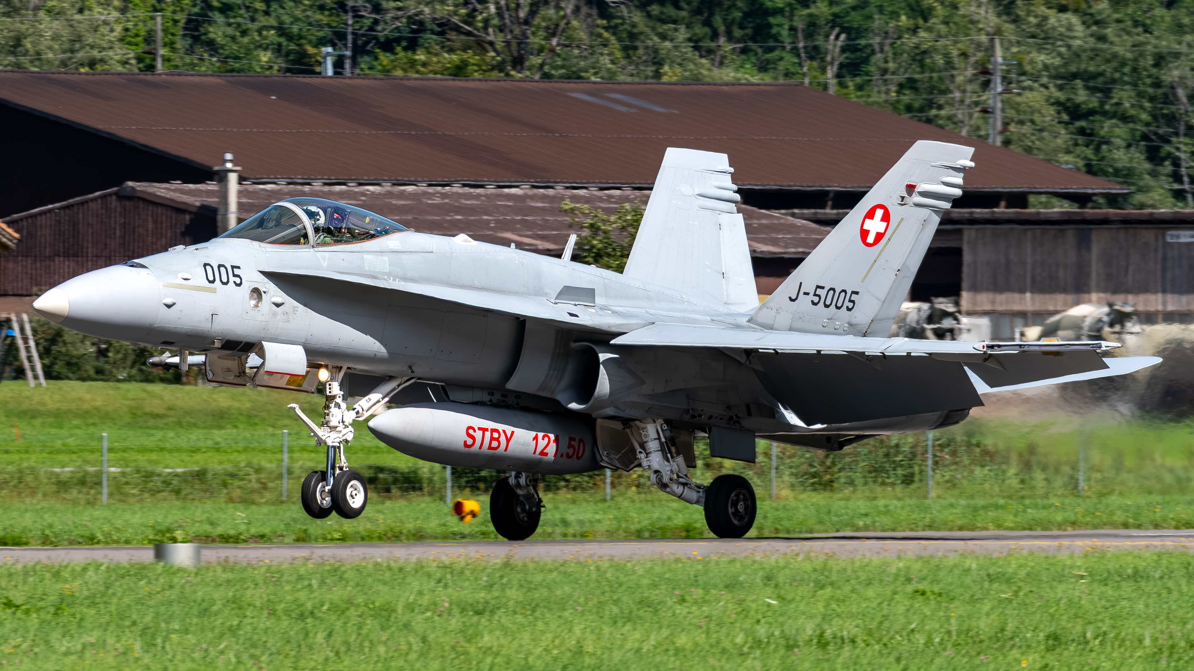 Swiss Air Force - F/A-18C Hornet - J-5005 (BEAST12)