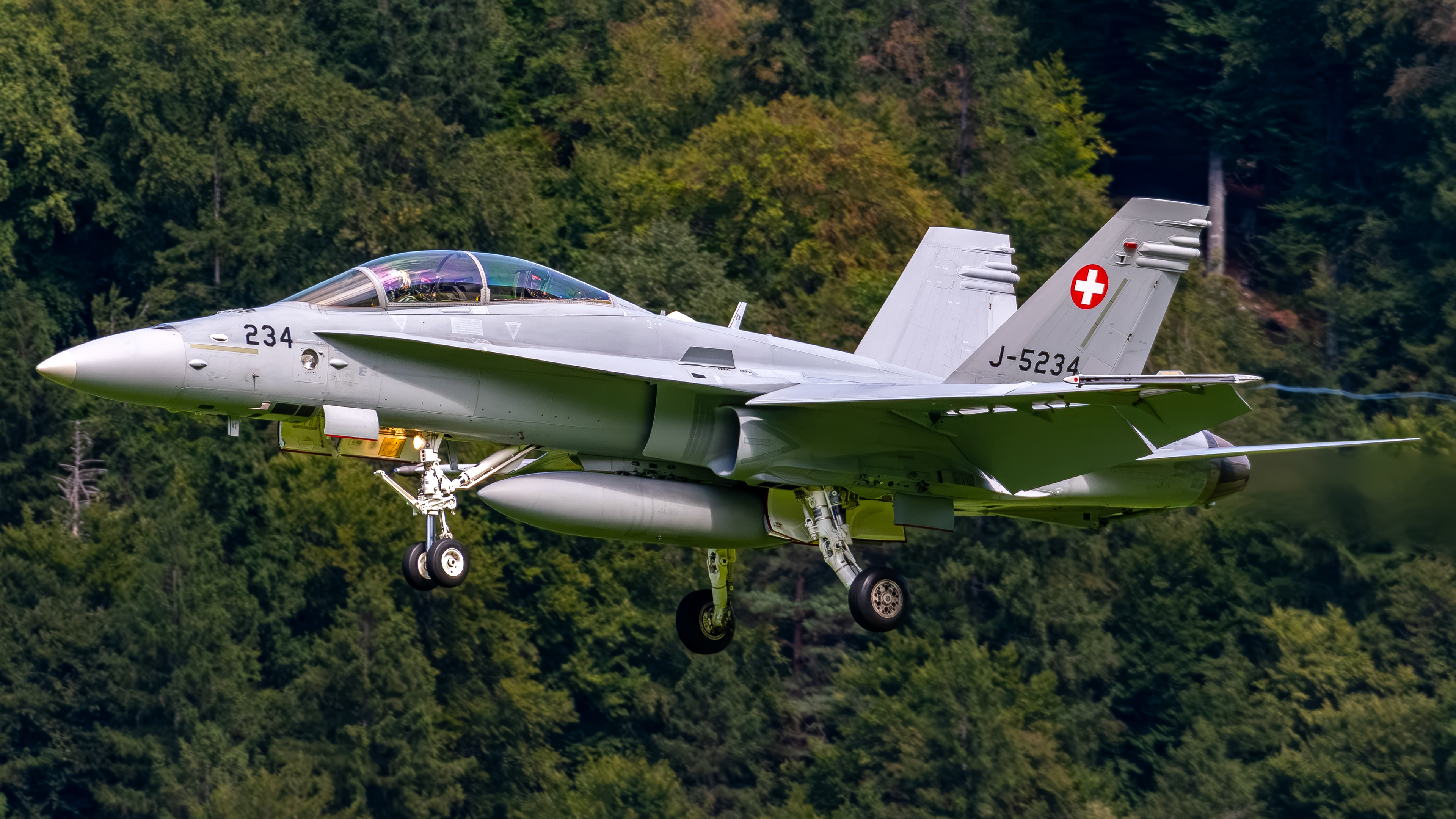 Swiss Air Force - F/A-18D Hornet - J-5234 (RAGE33)