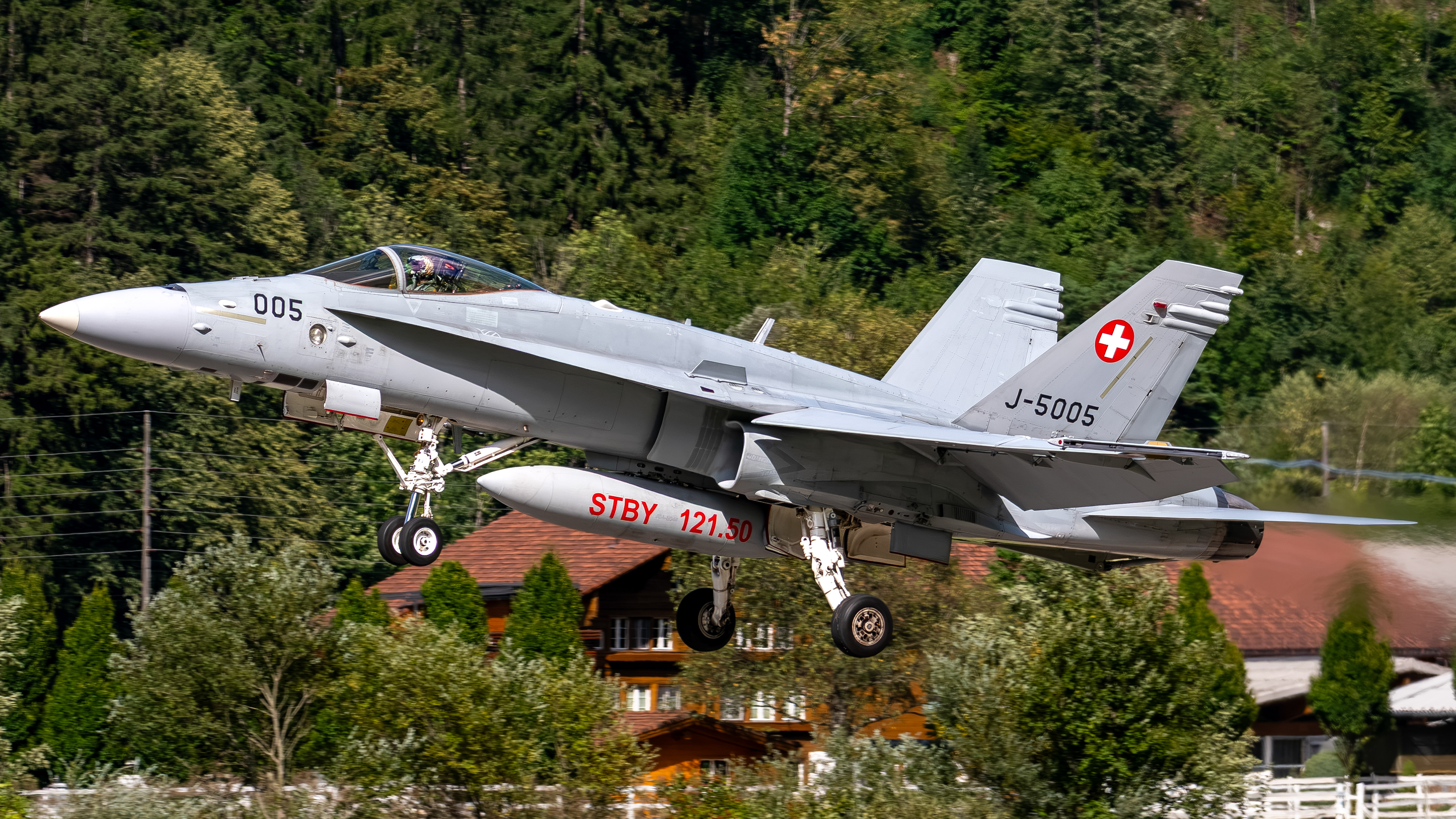 Swiss Air Force - F/A-18C Hornet - J-5005 (VIPER41)