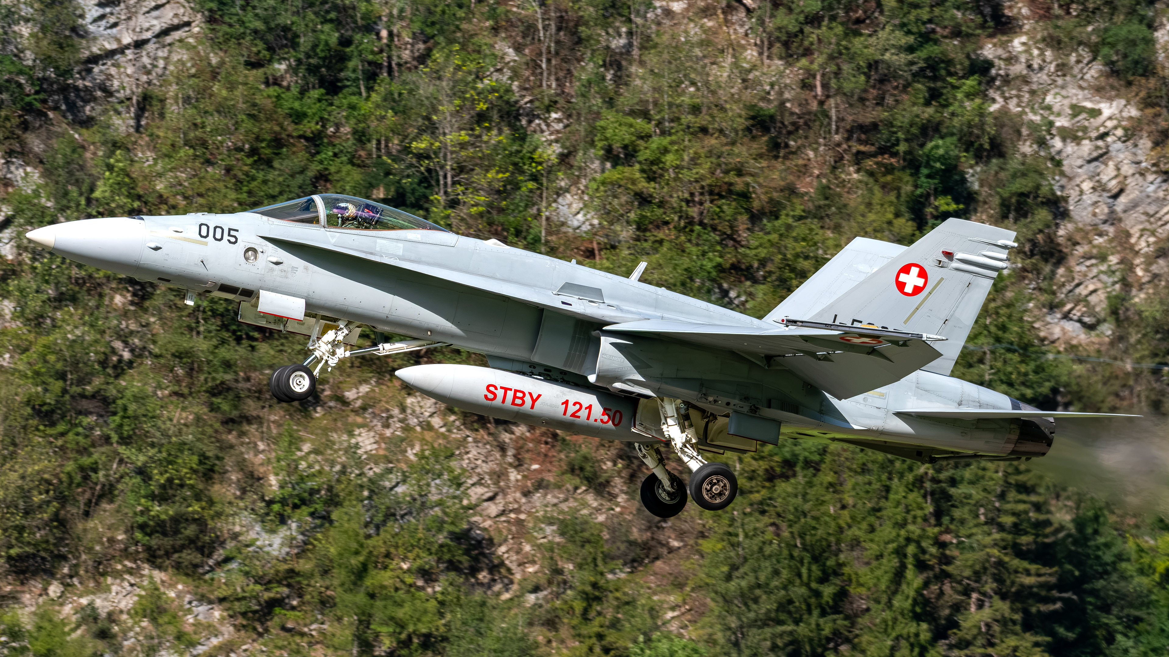 Swiss Air Force - F/A-18C Hornet - J-5005 (CHROME12)