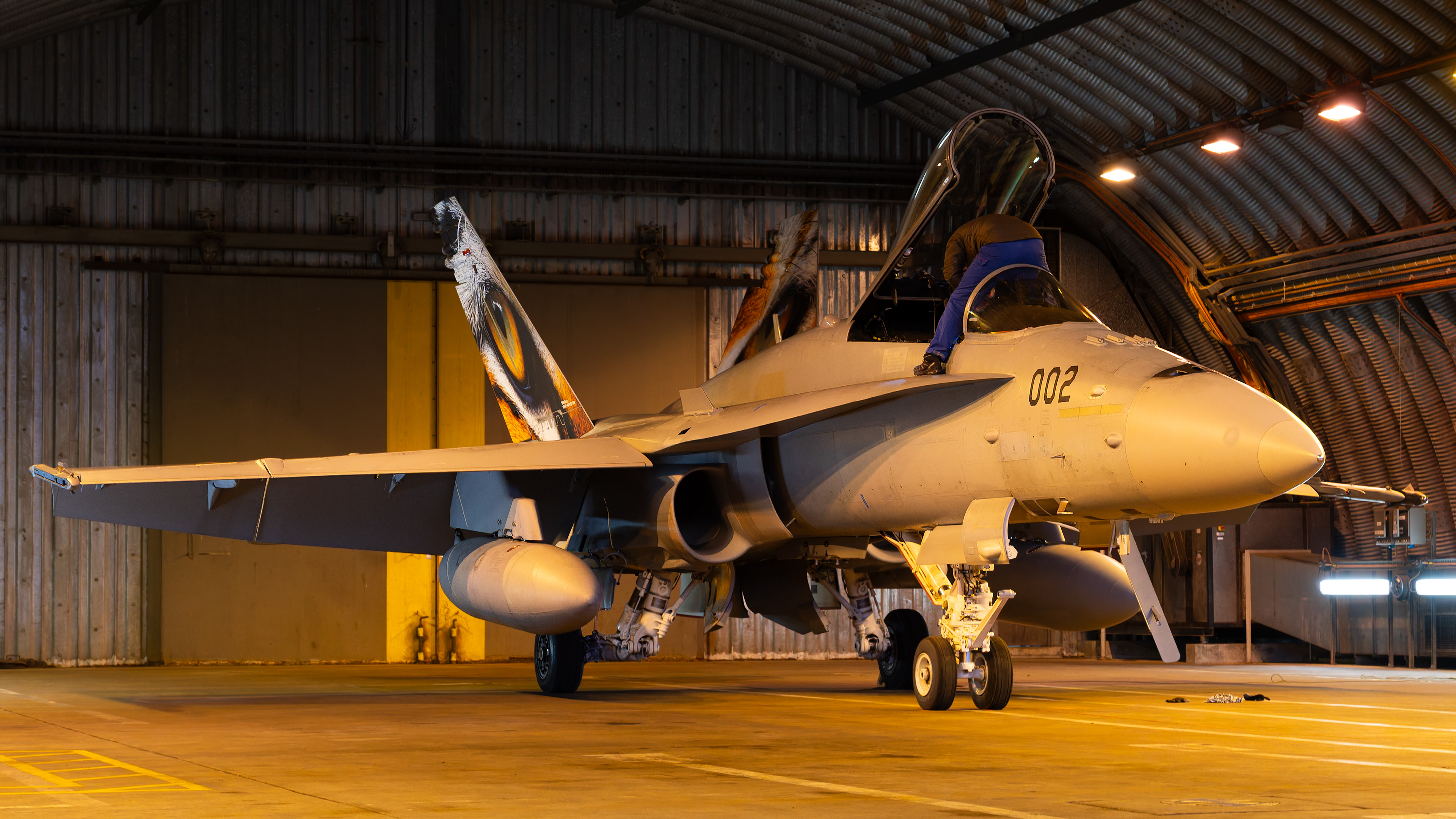 Swiss Air Force - F/A-18C Hornet - J-5002