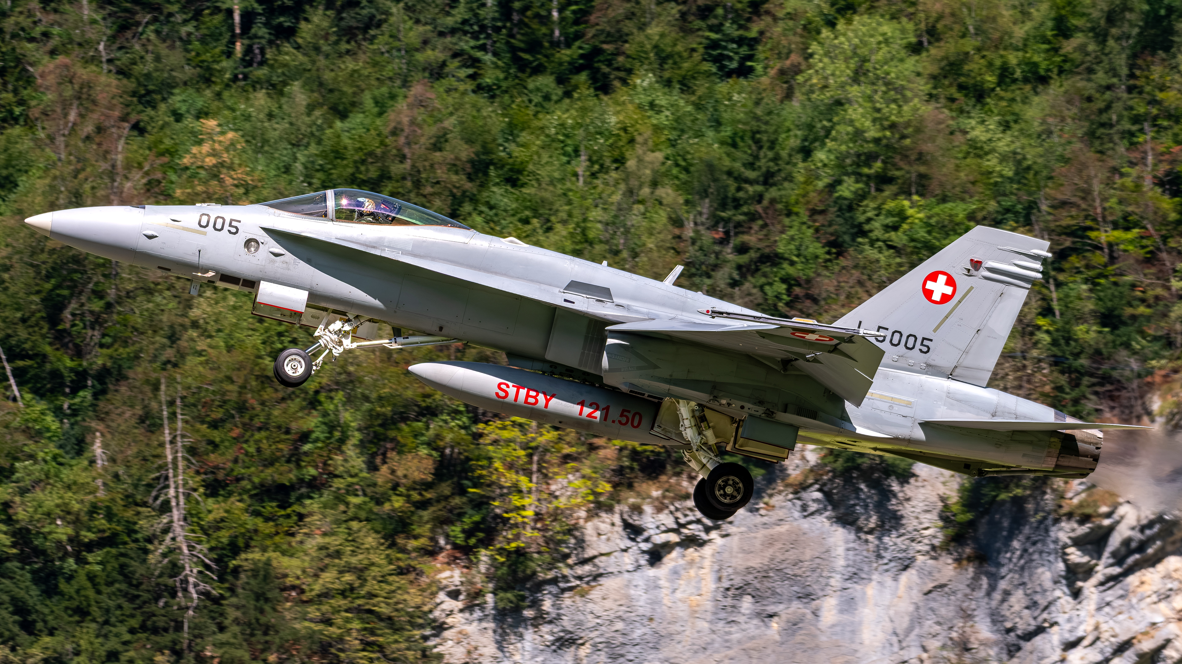 Swiss Air Force - F/A-18C Hornet - J-5005 (RAGE31)