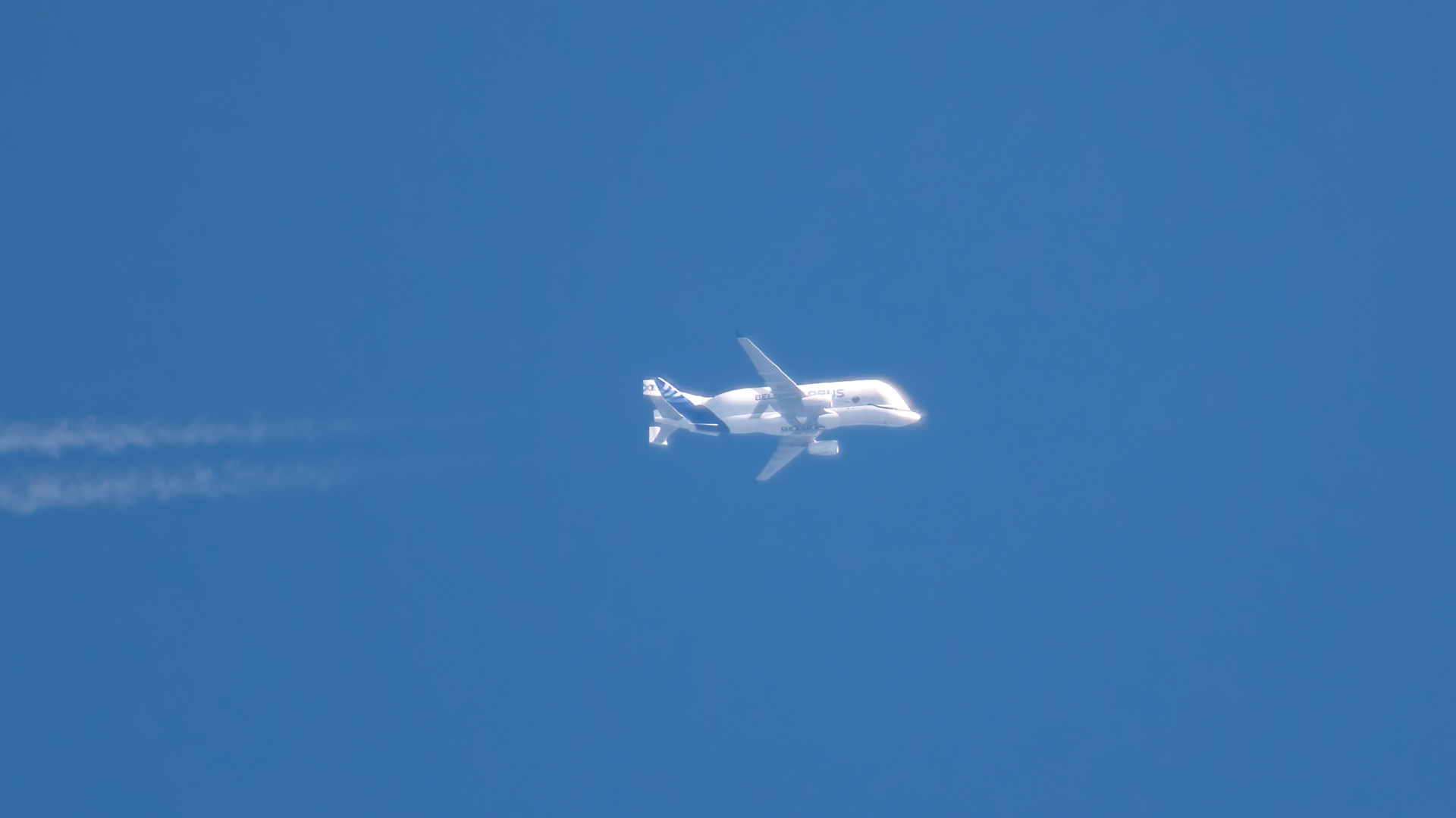 Airbus Transport - Airbus A330-743L Beluga XL - F-GXLG (BGA145G)