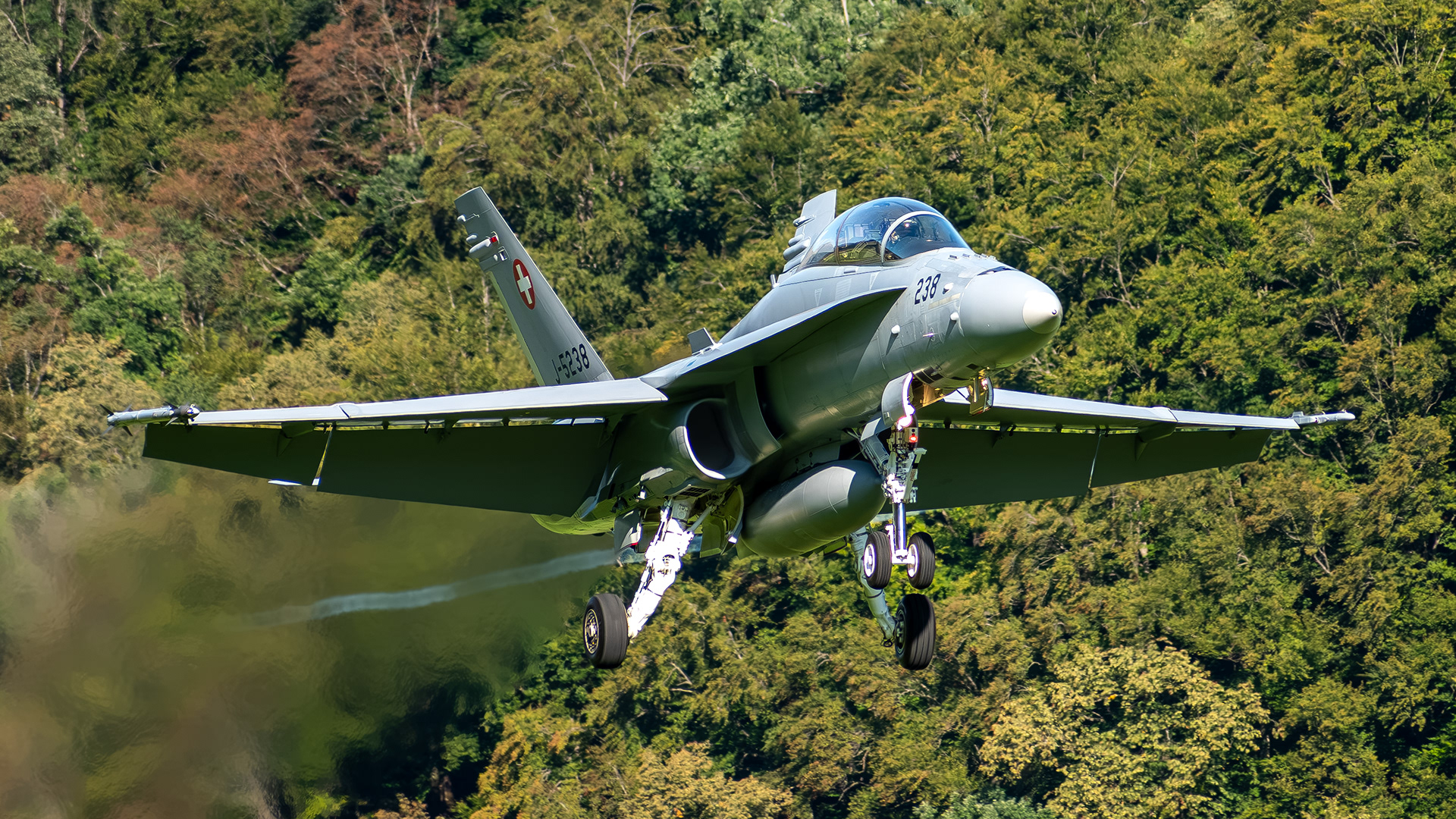 Swiss Air Force - F/A-18D Hornet - J-5238