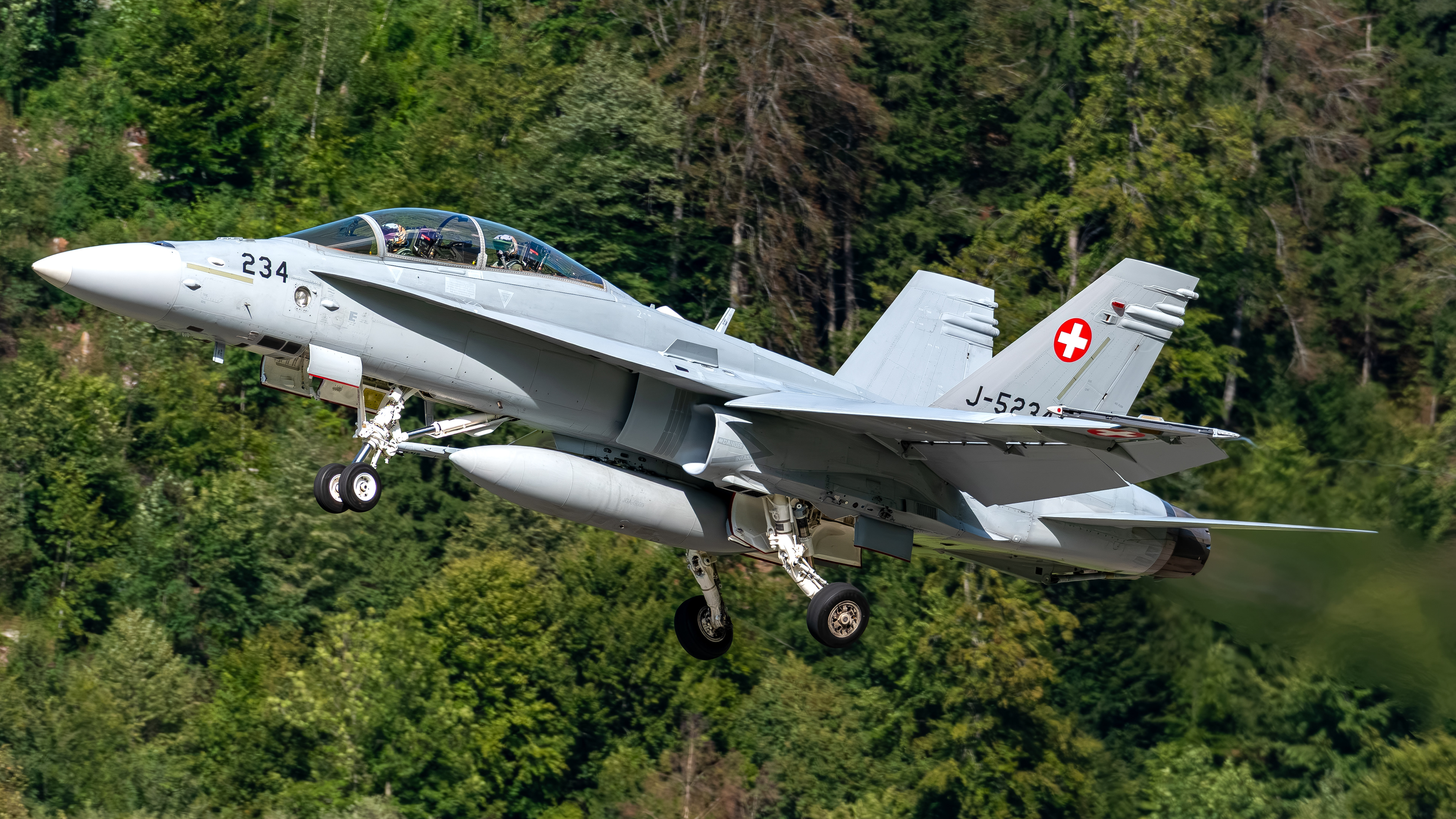 Swiss Air Force - F/A-18D Hornet - J-5234 (CHROME11)