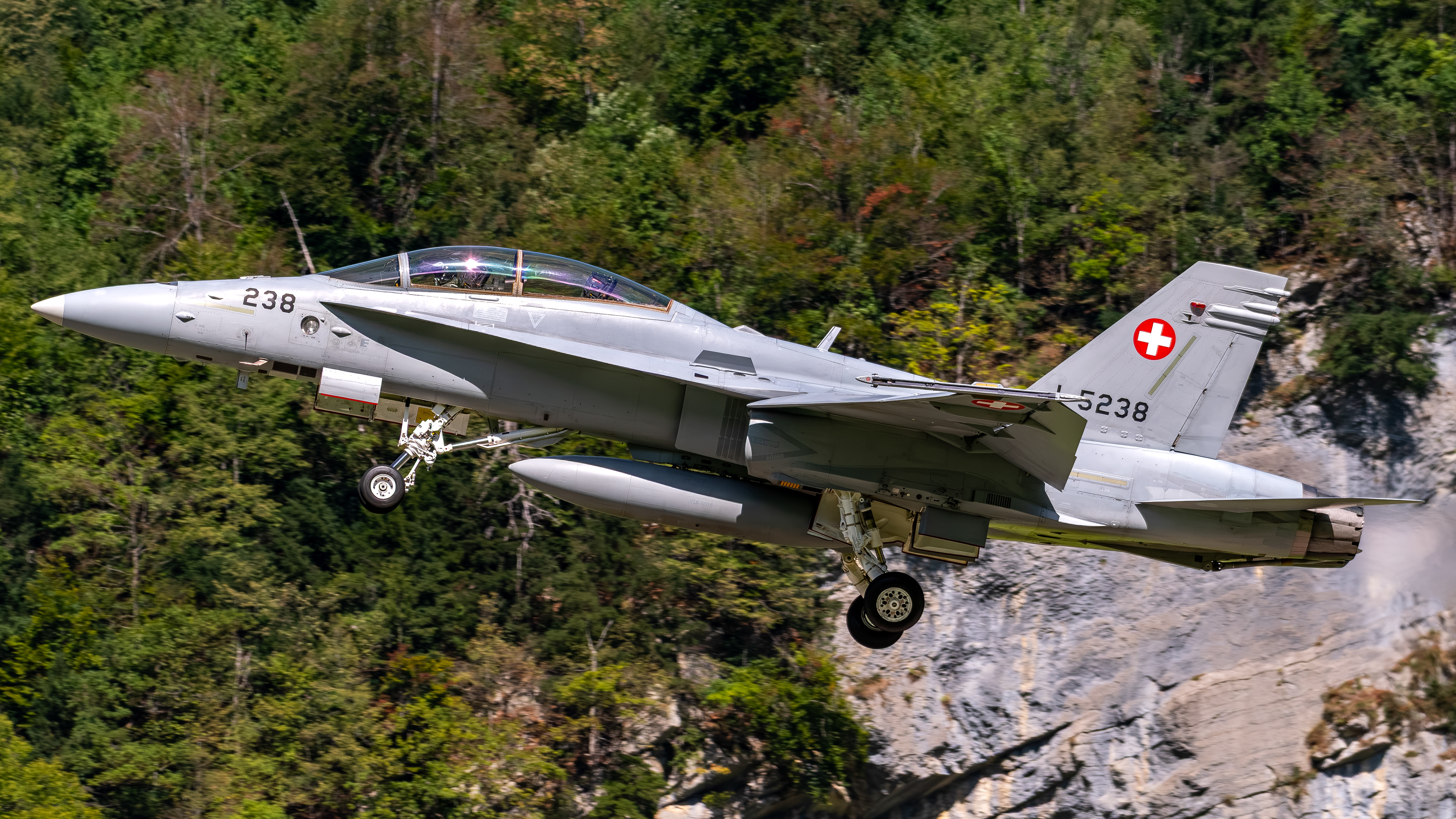 Swiss Air Force - F/A-18D Hornet - J-5238 (COPPER42)