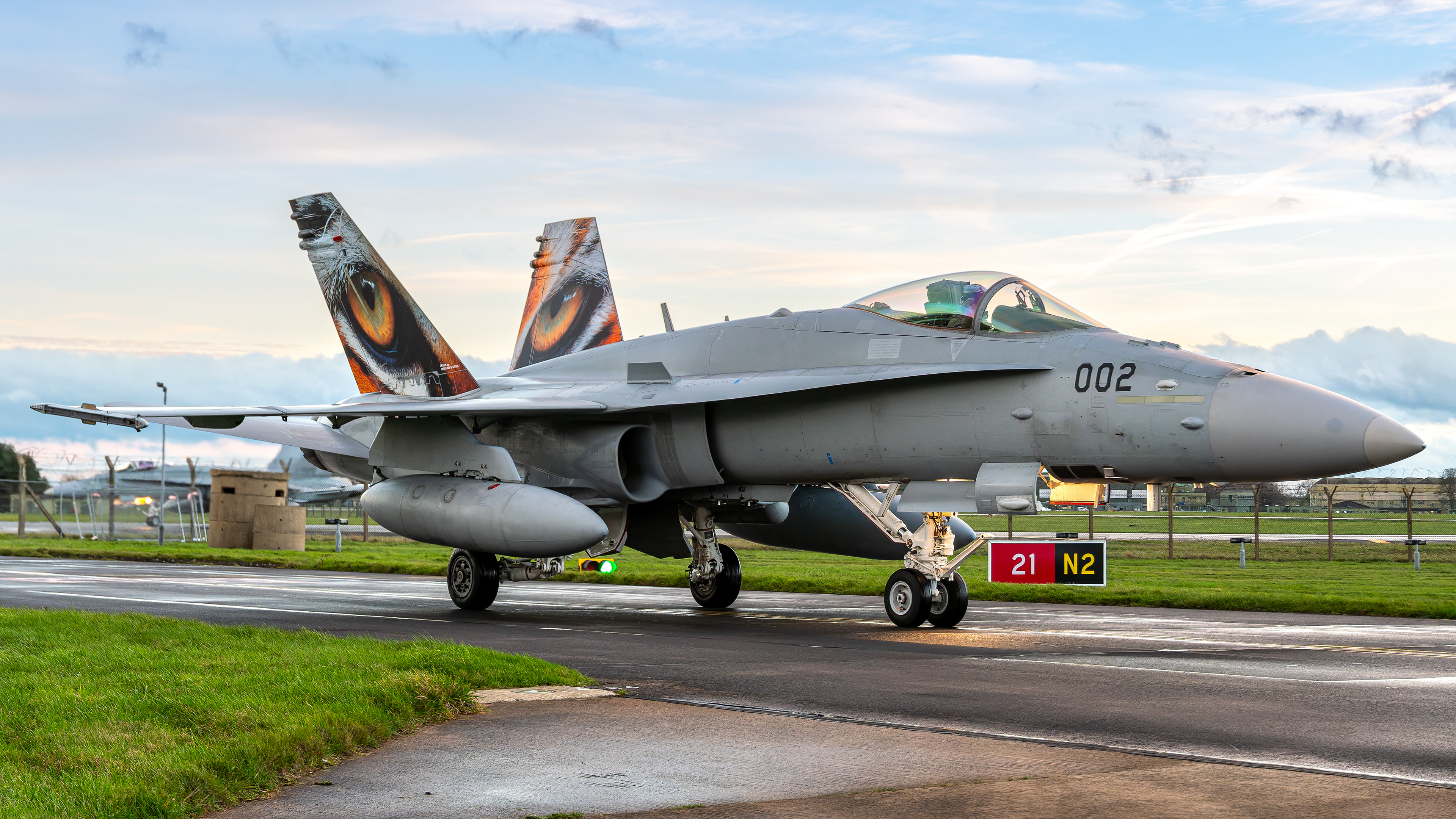 Swiss Air Force - F/A-18C Hornet - J-5002 (GREY11)