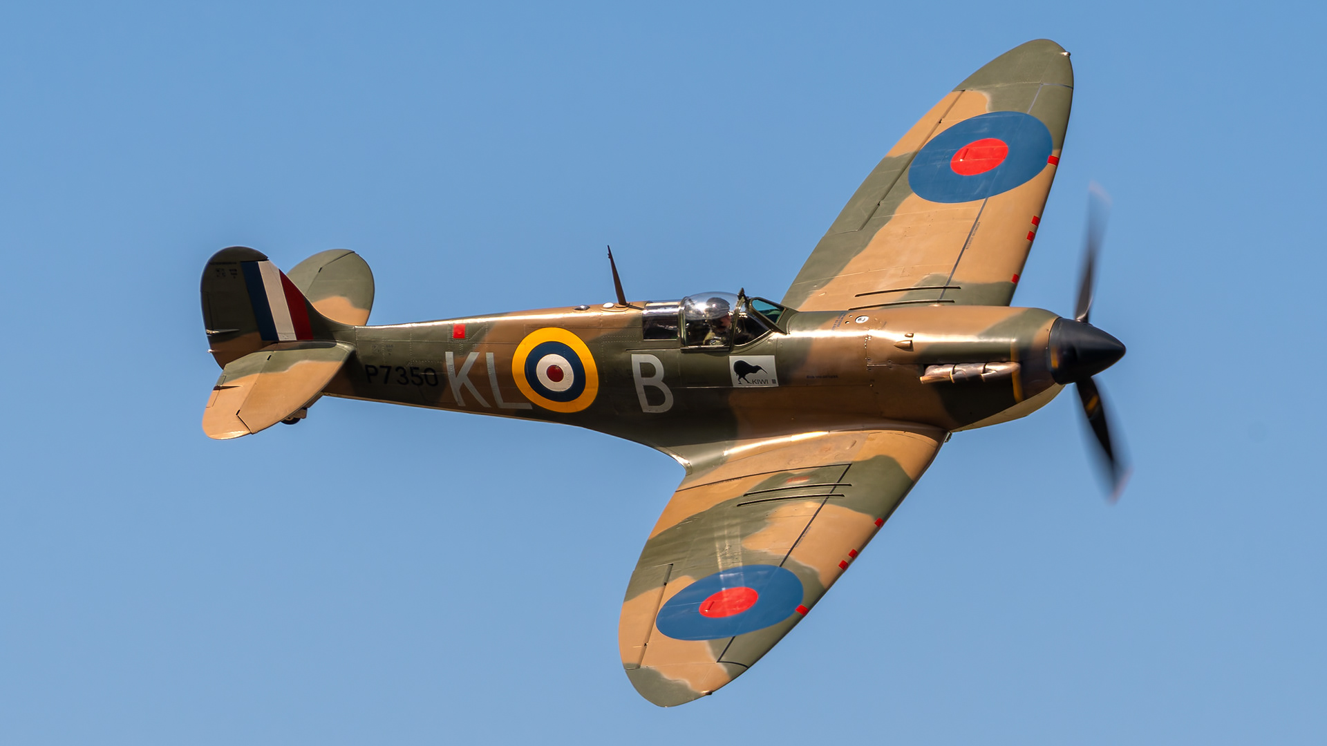 RAF / BBMF - Supermarine Spitfire Mk IIA - P7350 (Memorial2)