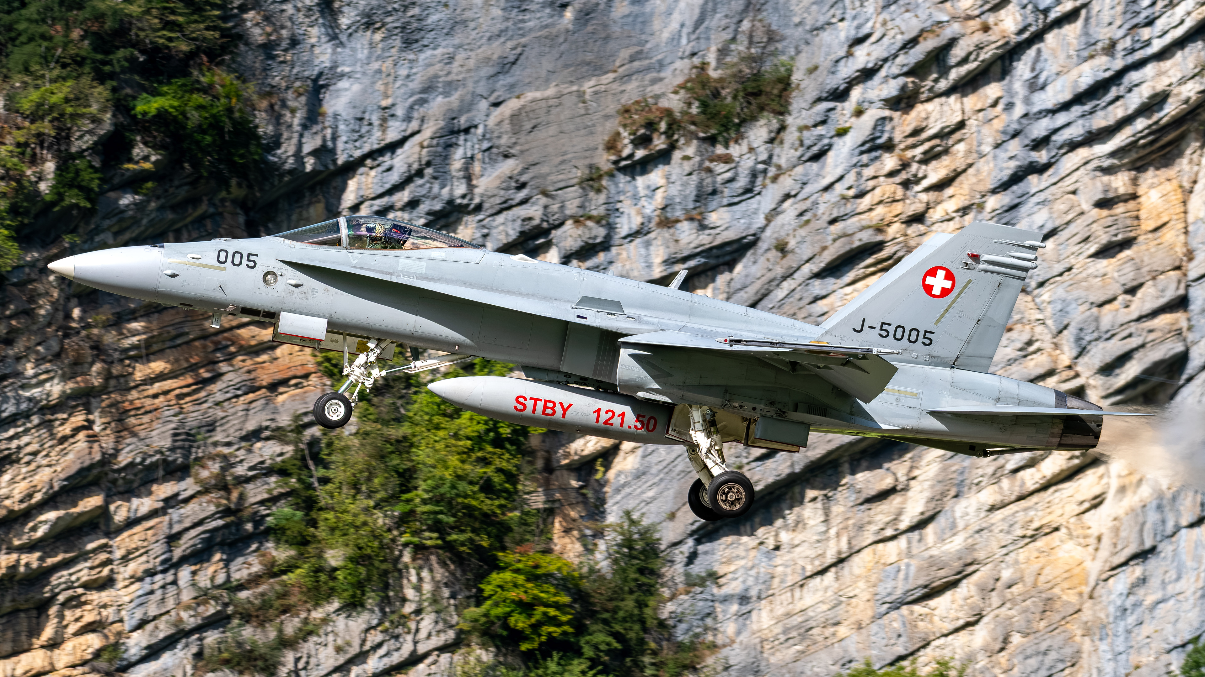 Swiss Air Force - F/A-18C Hornet - J-5005 (VIPER41)
