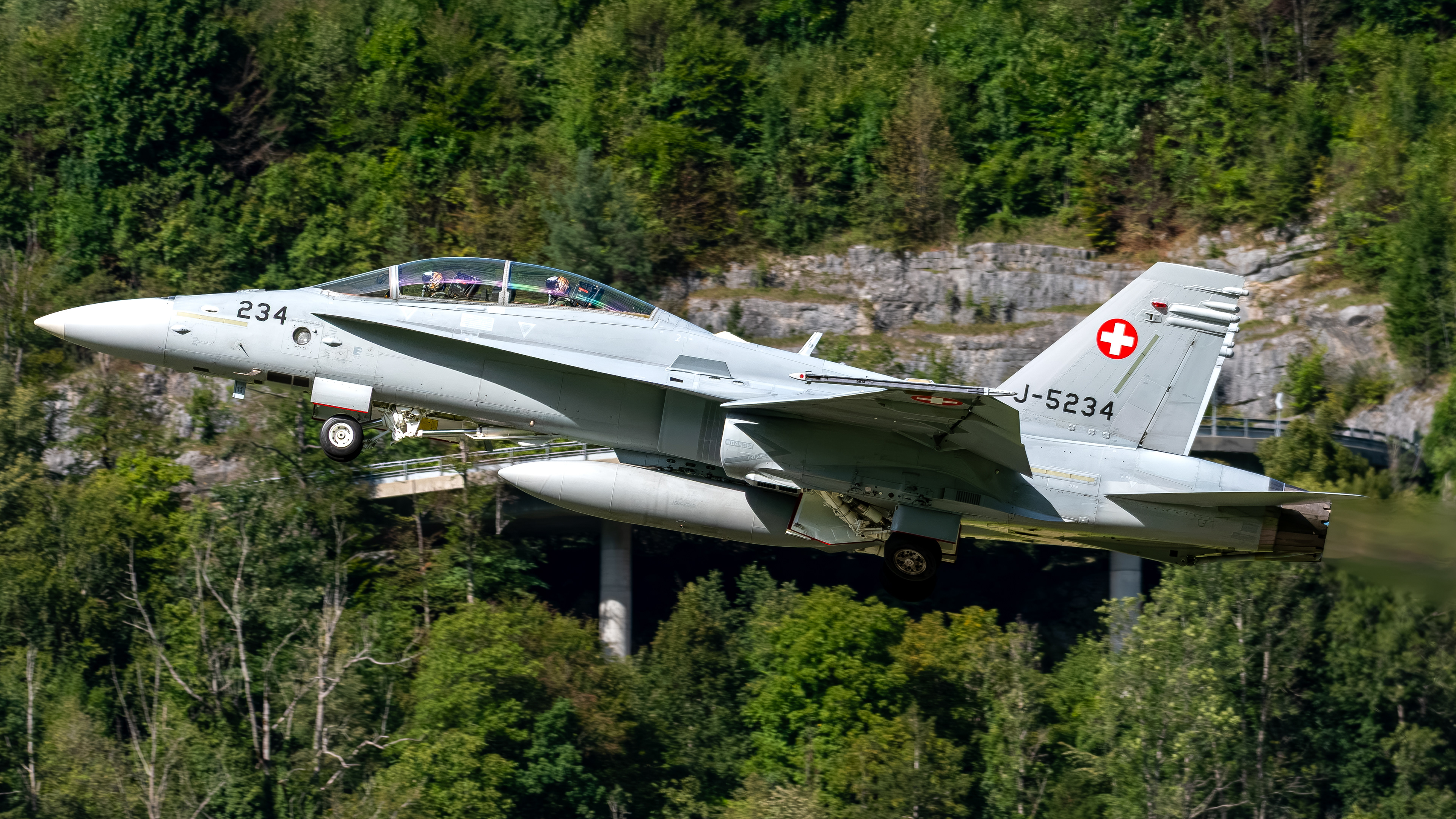 Swiss Air Force - F/A-18D Hornet - J-5234 (CHROME11)